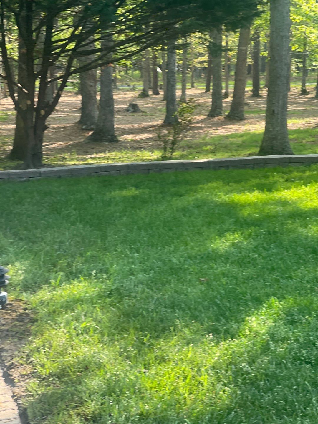 Pavers Cleaned, Garage and Concrete walls by SJ Exterior