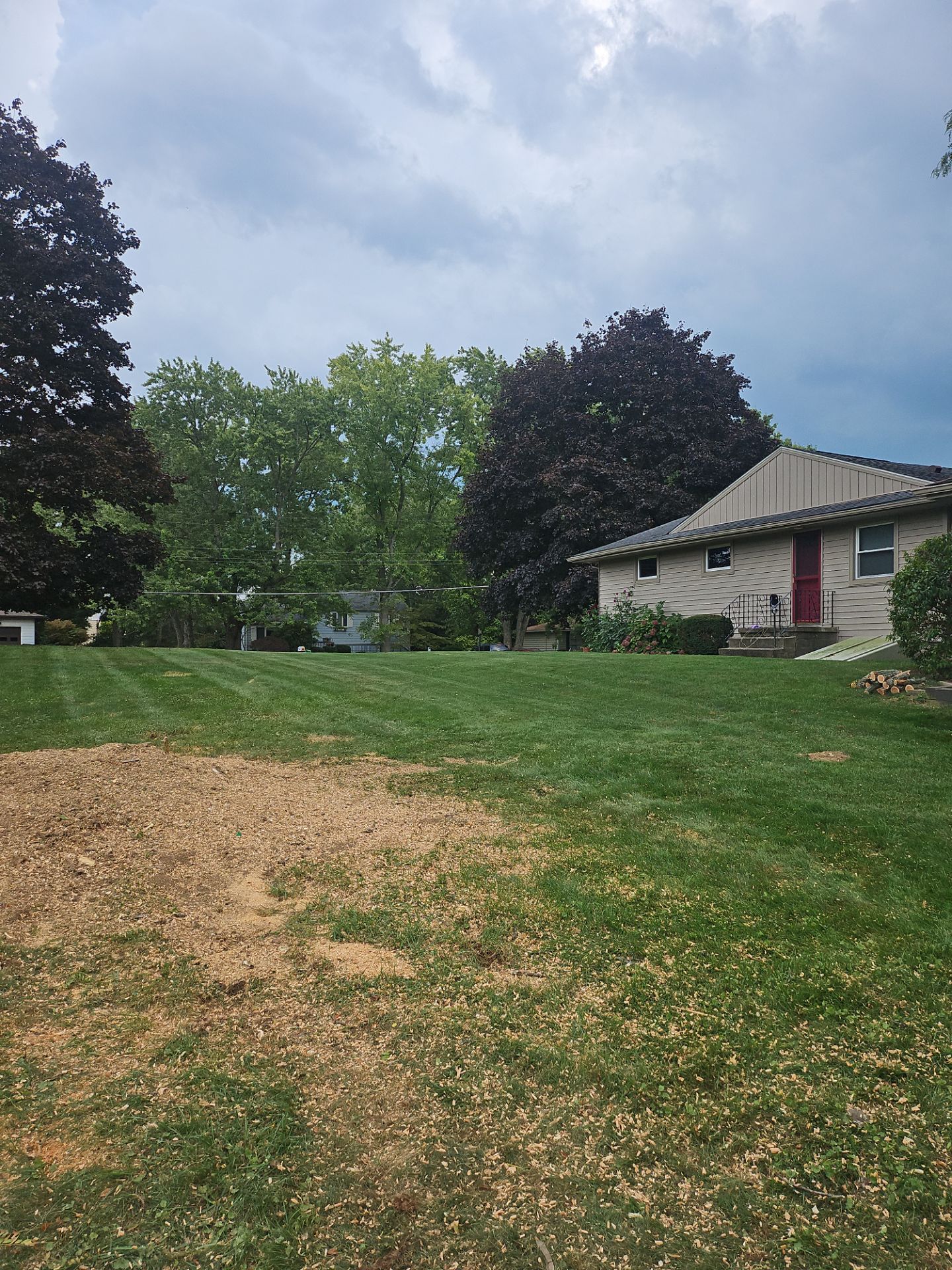 Tree Removal using Tree Removal by Mike Jones & Sons Tree Service LLC 