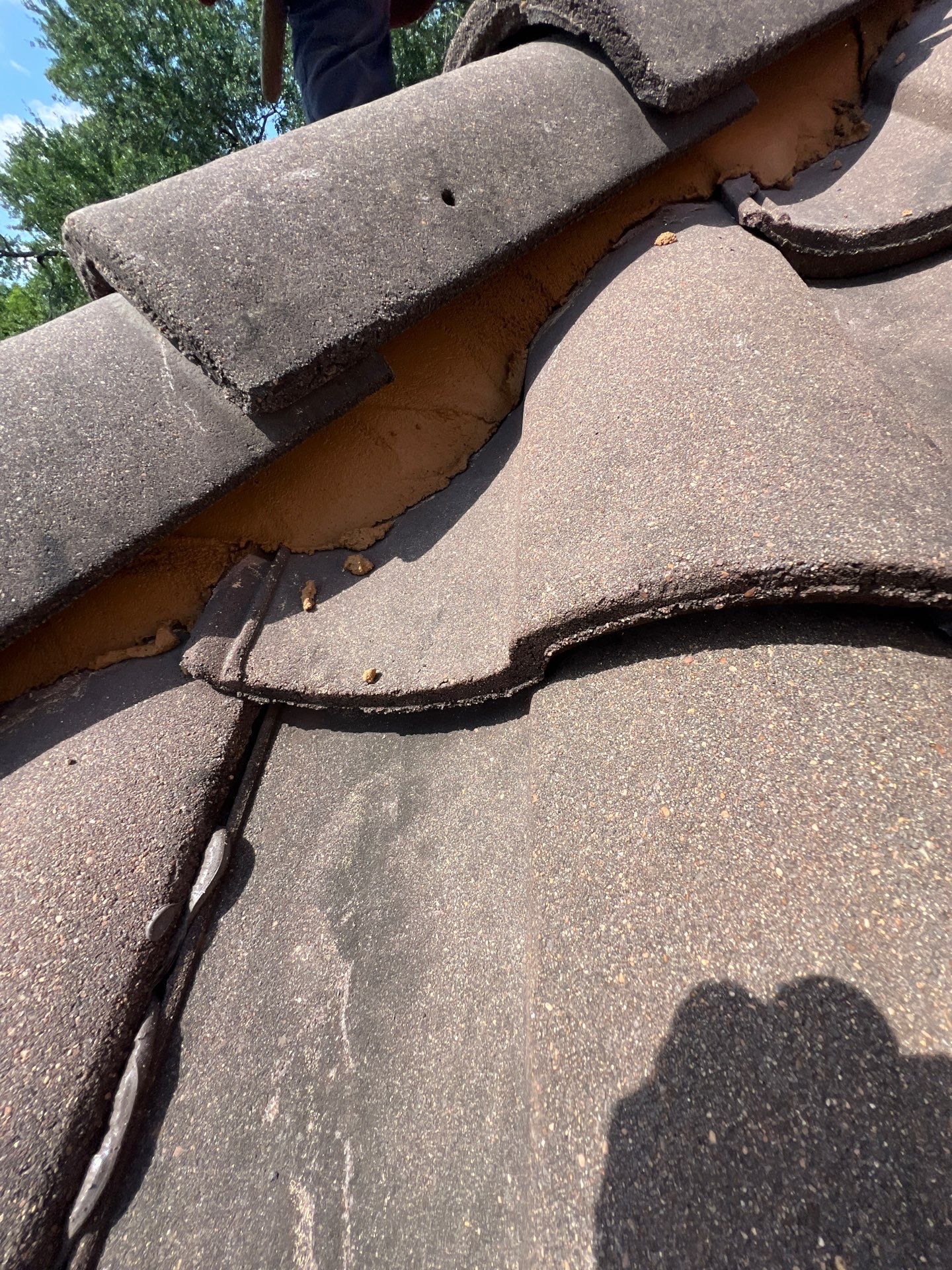 Roof Repair Spring by Roof Repair Company