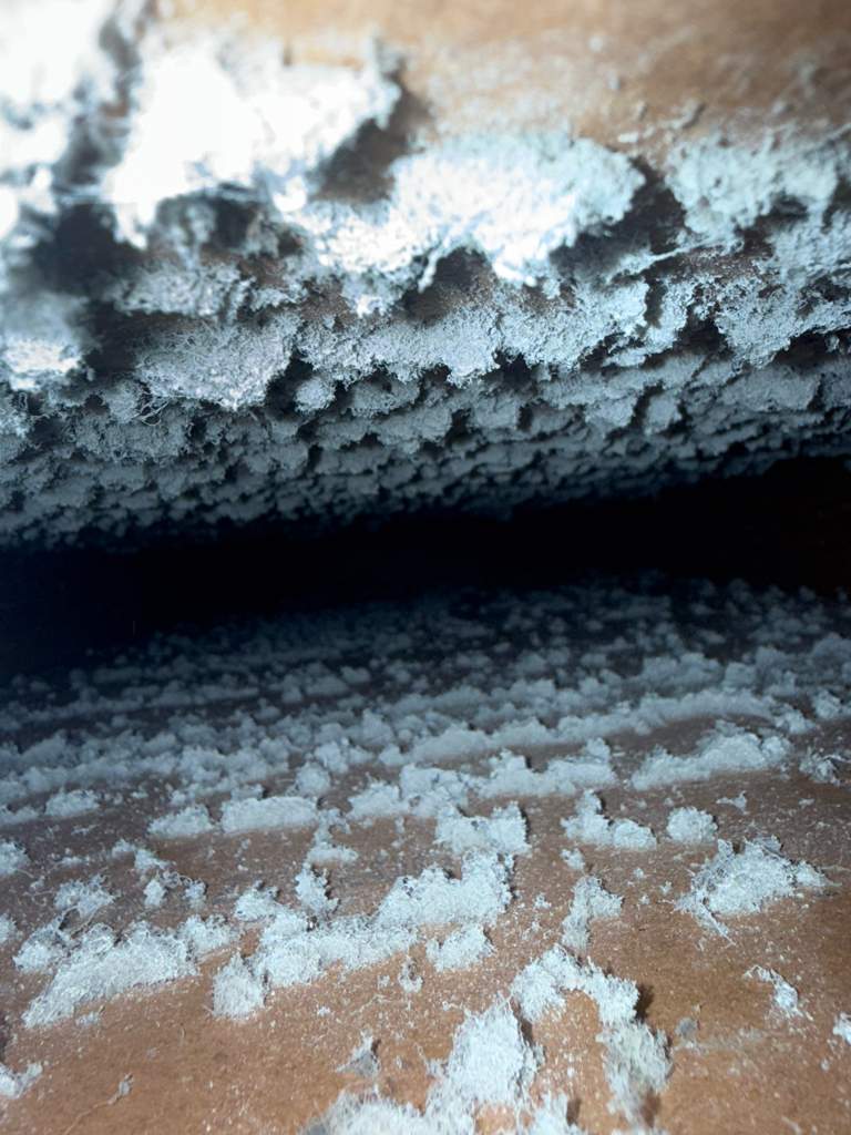 Mold Remediation In Sarasota by Ampm Restoration Services