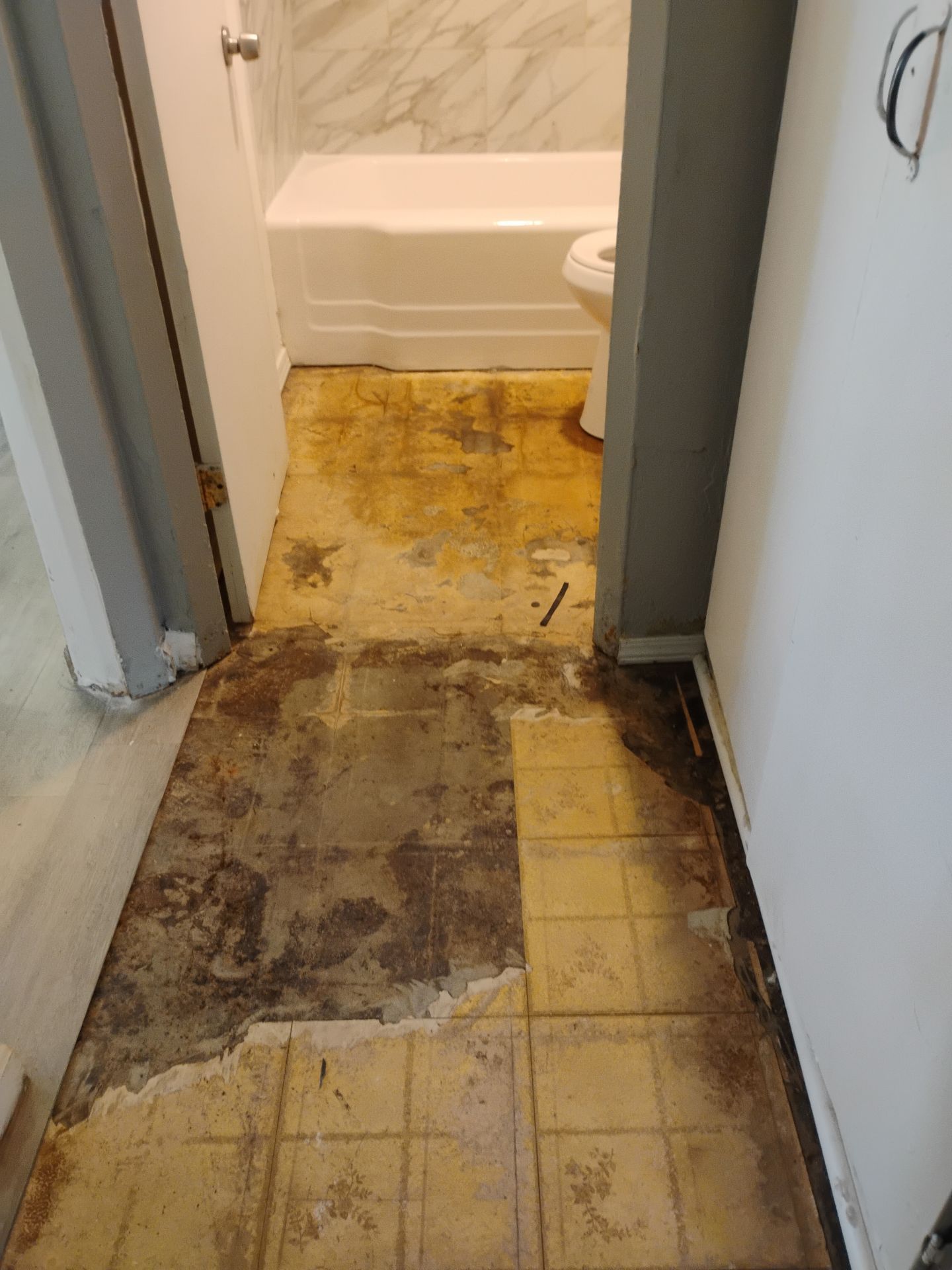 Home Repair & Exterior Improvement (Investment Property) – St. Louis, MO by Legendary Services Company LLC.