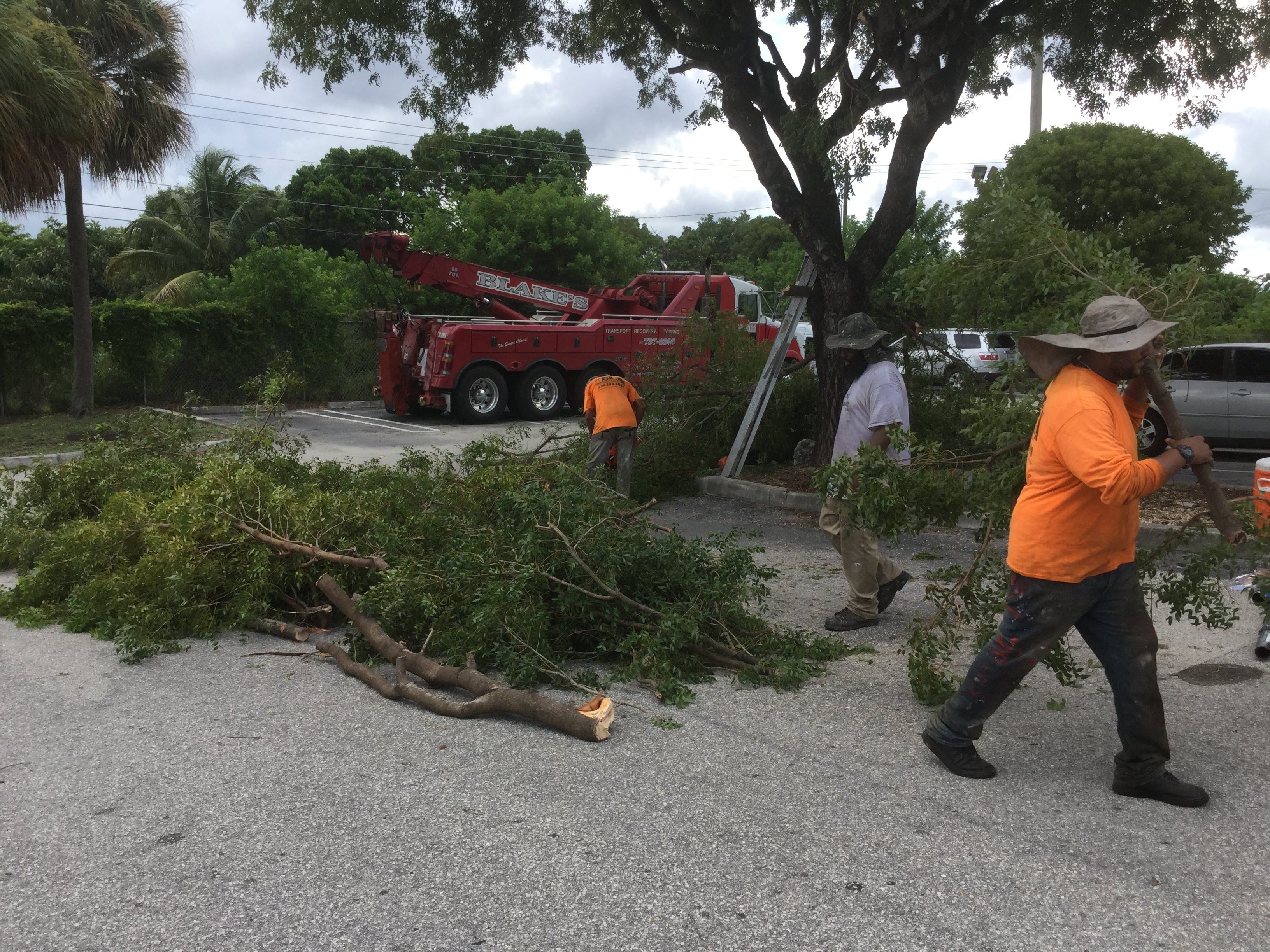 Commercial Tree Trimming & Debris Removal by
M.A.B. Landscaping & Property Maintenance