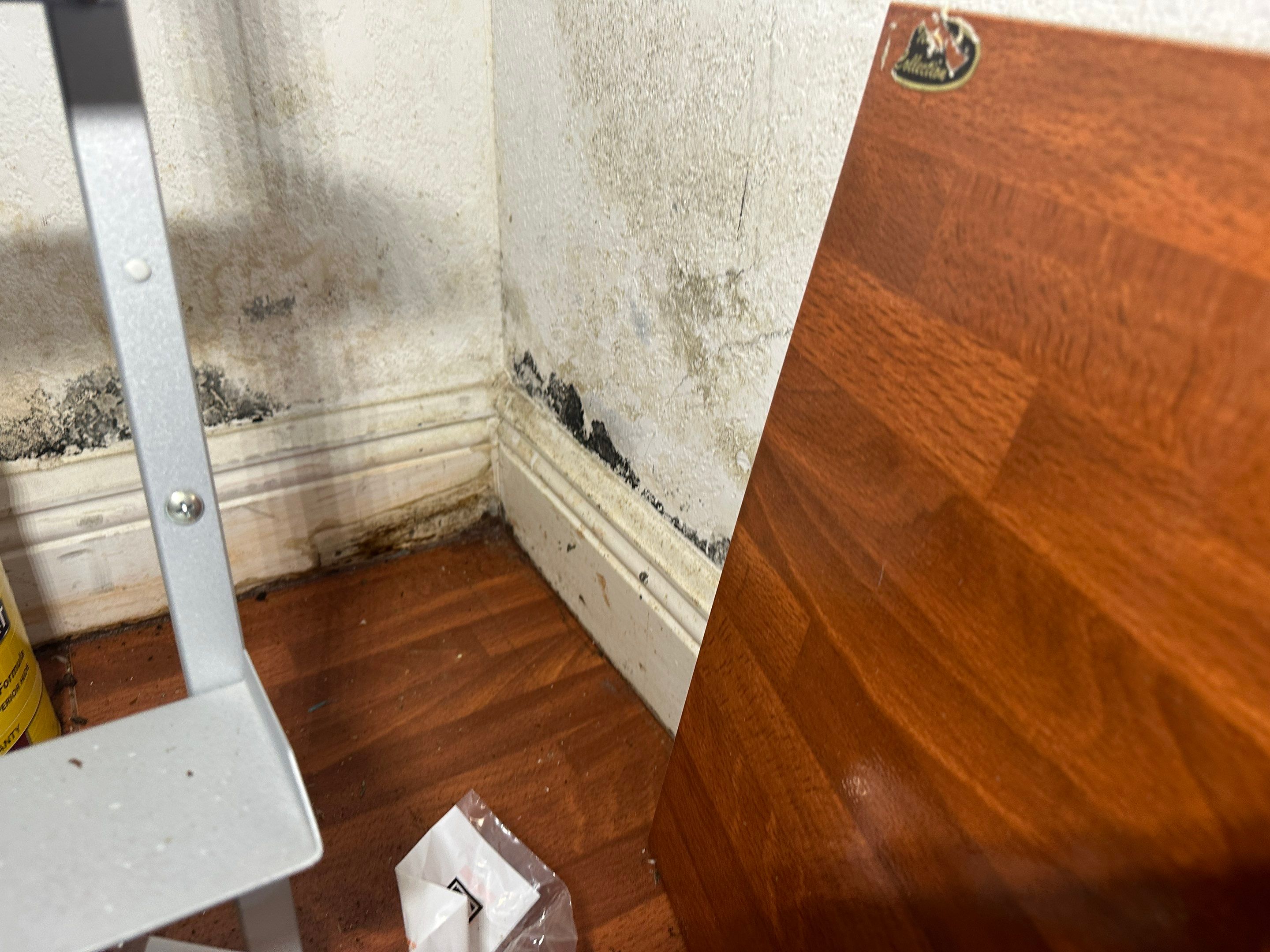 Water Damage Claim in Hollywood by FLAPA & KeyStone