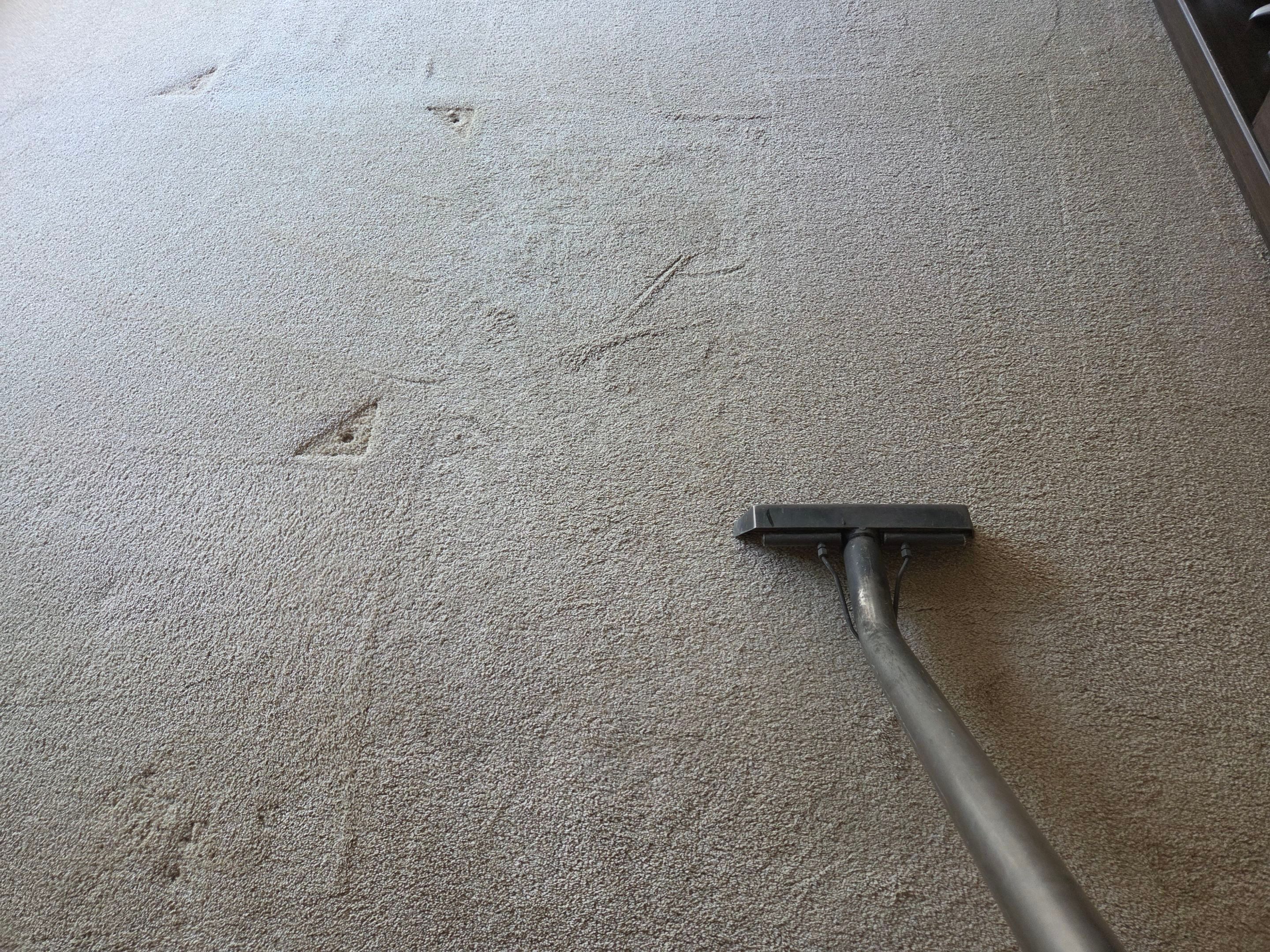 Carpet and Upholstery Cleaning in Sacramento by Ardent Carpet Restore LLC