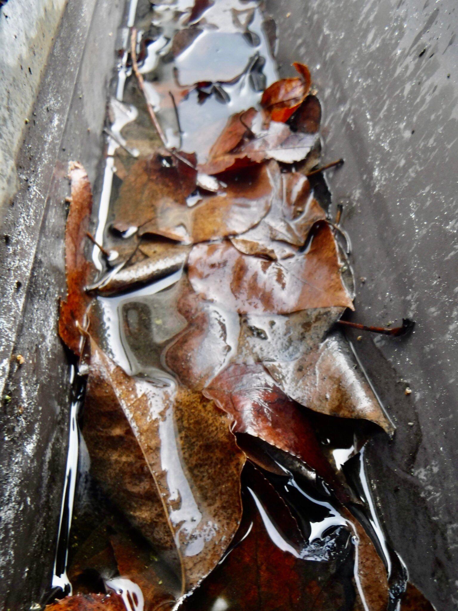 Attic Insulation, LeafGuard Gutters, and a new roof. by Byers Enterprises 