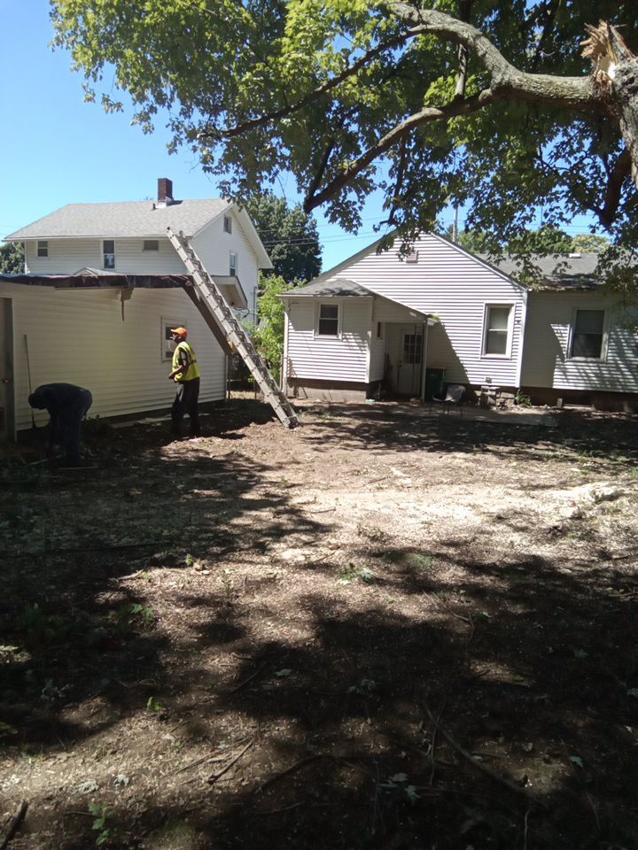 Storm Damaged Tree Removal  using Tree Removal by Mike Jones & Sons Tree Service LLC 