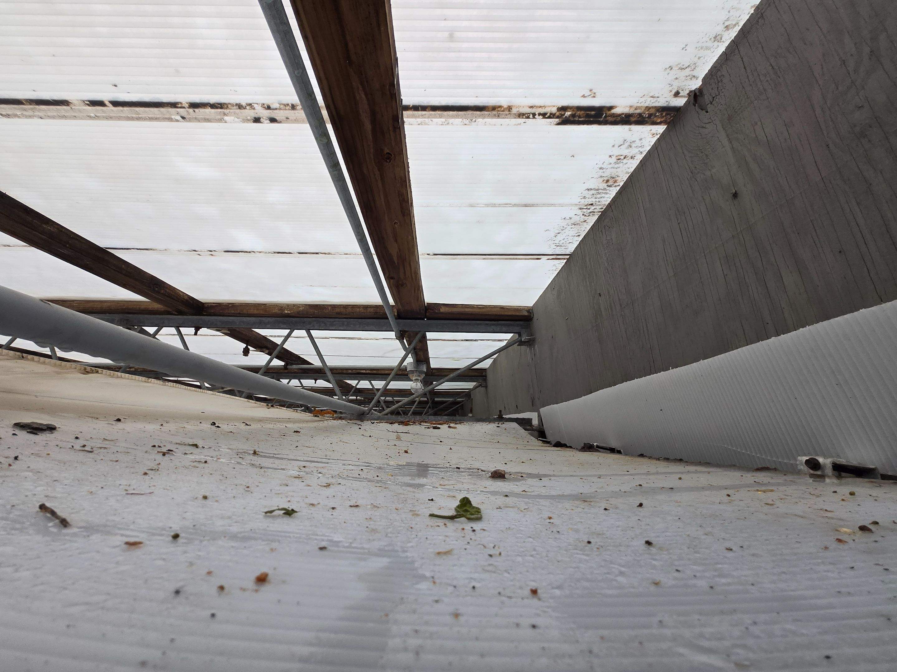 Greenhouse Roof Replacement and Structural Framing Repair in Centerville by Level Up Roofing and Restoration Services LLC