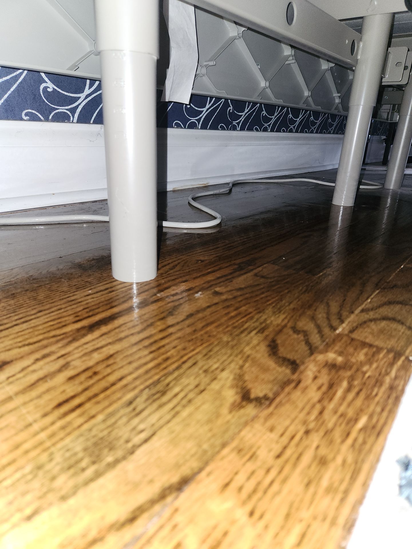 Project in Chicago by Xo Clean Services 