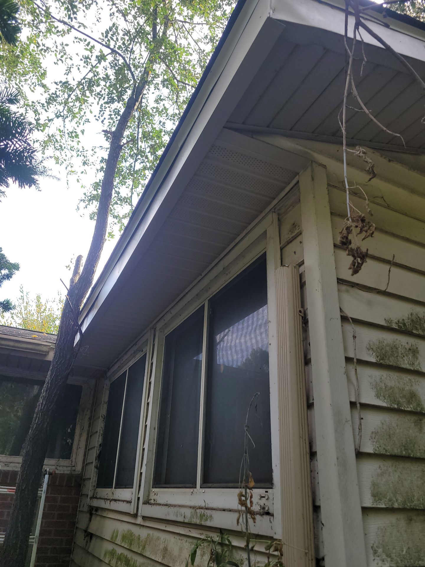 Dena Beitzel by Silver Leaf Contracting 