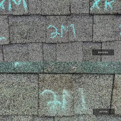 Project in Rocky Face