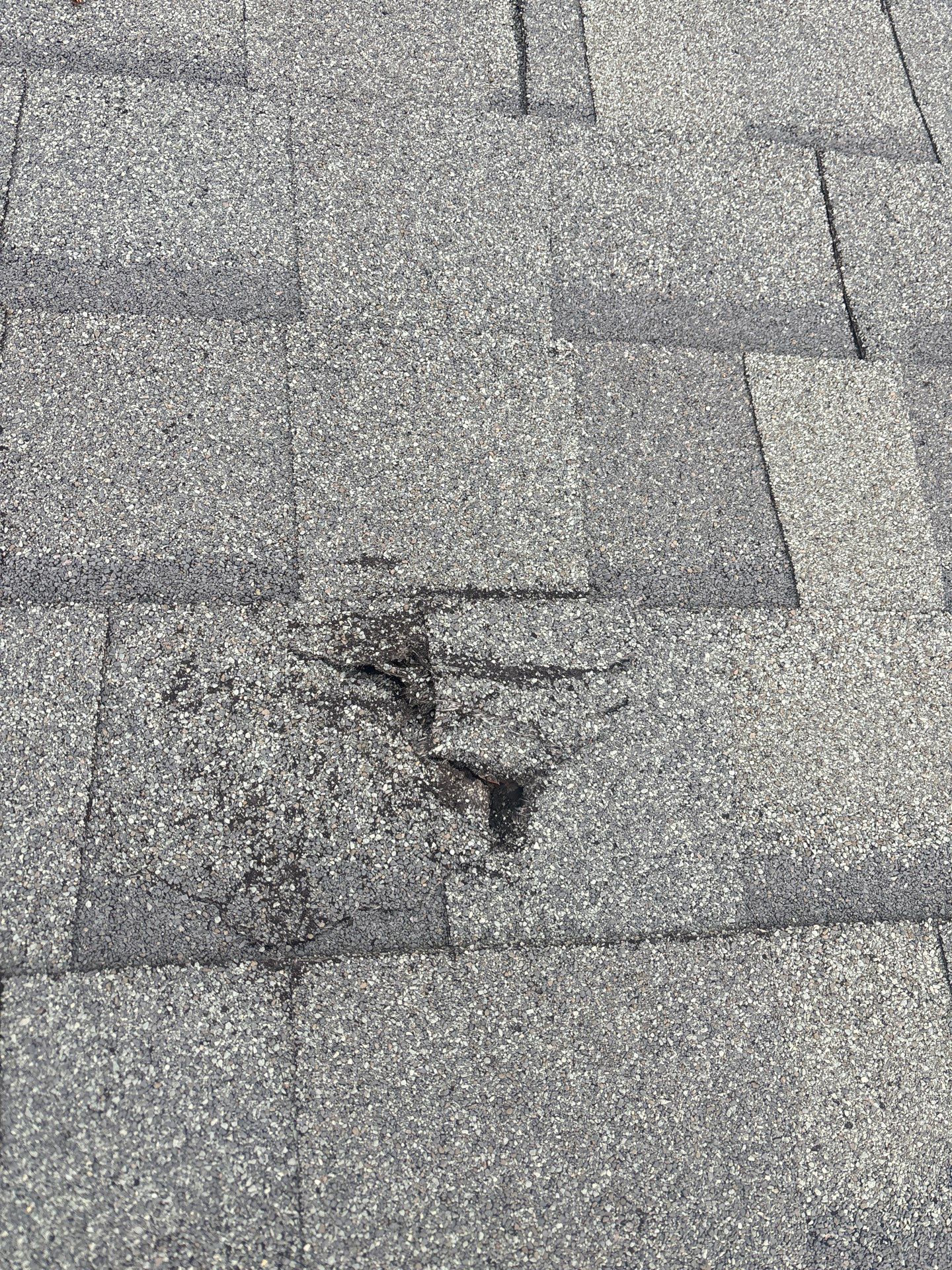 GAF HDZ Timberline & Gutter Replacement by Peak 2 Peak Services LLC