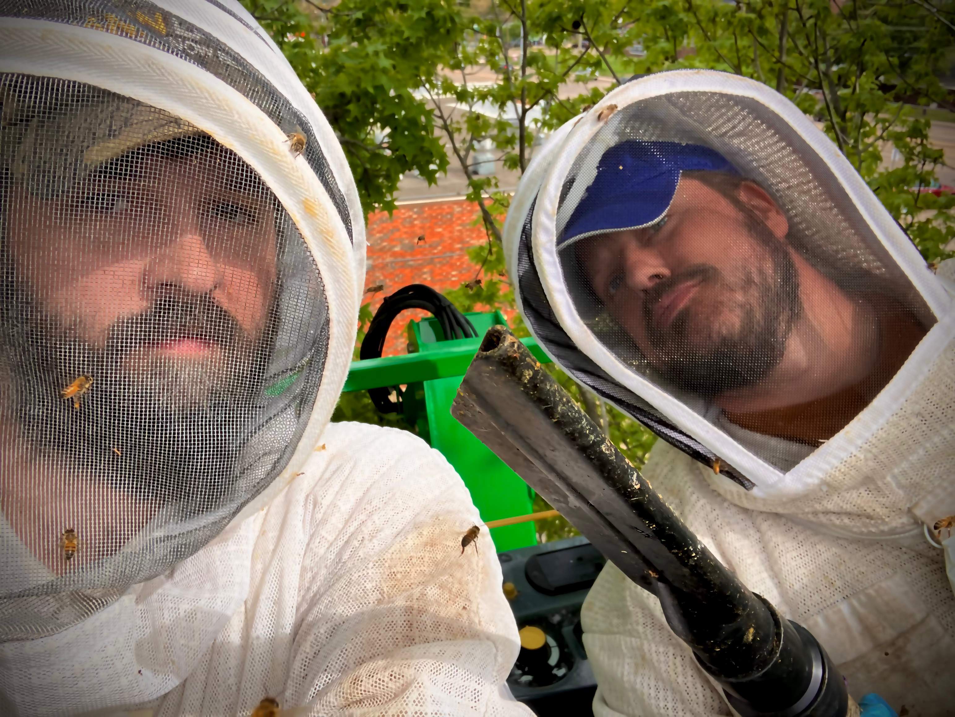 Commercial Roof by Rockwall Honey Bee Company