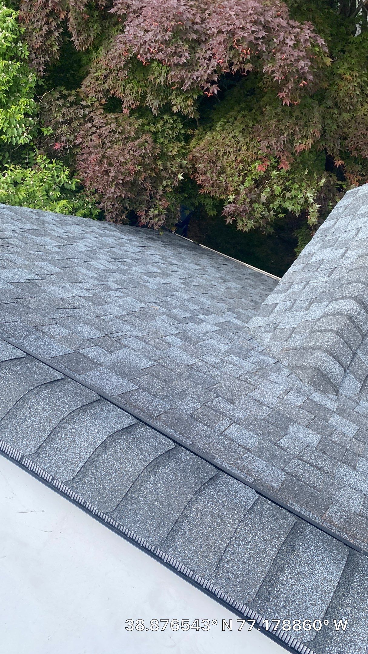 Falls Church: CertainTeed Landmark Pro Designer Shingles in Max Def Pewter by RM Banning, Inc.