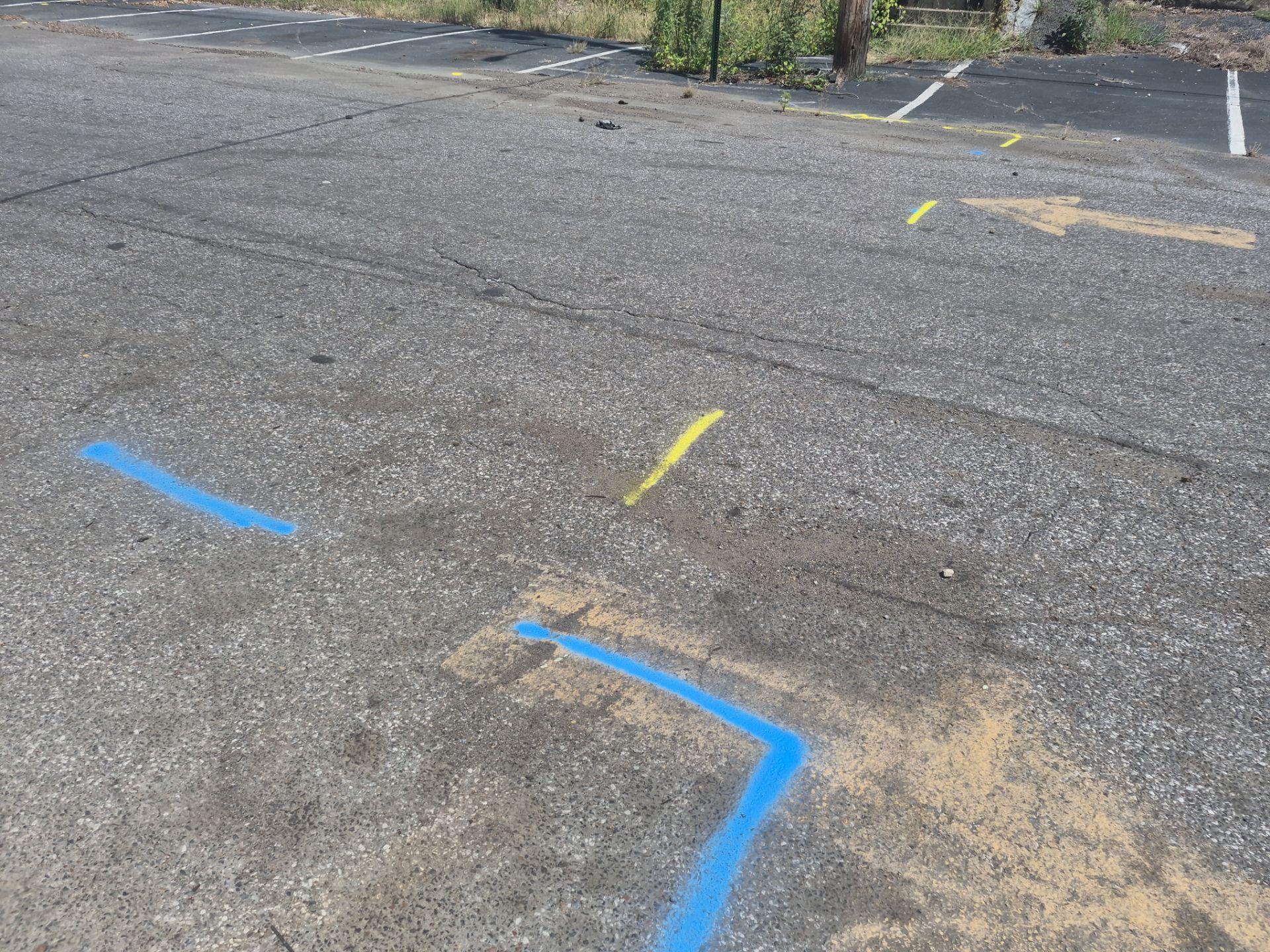 Utility Locate and Utility Mapping for Survey by Alsip Locating Service, LLC