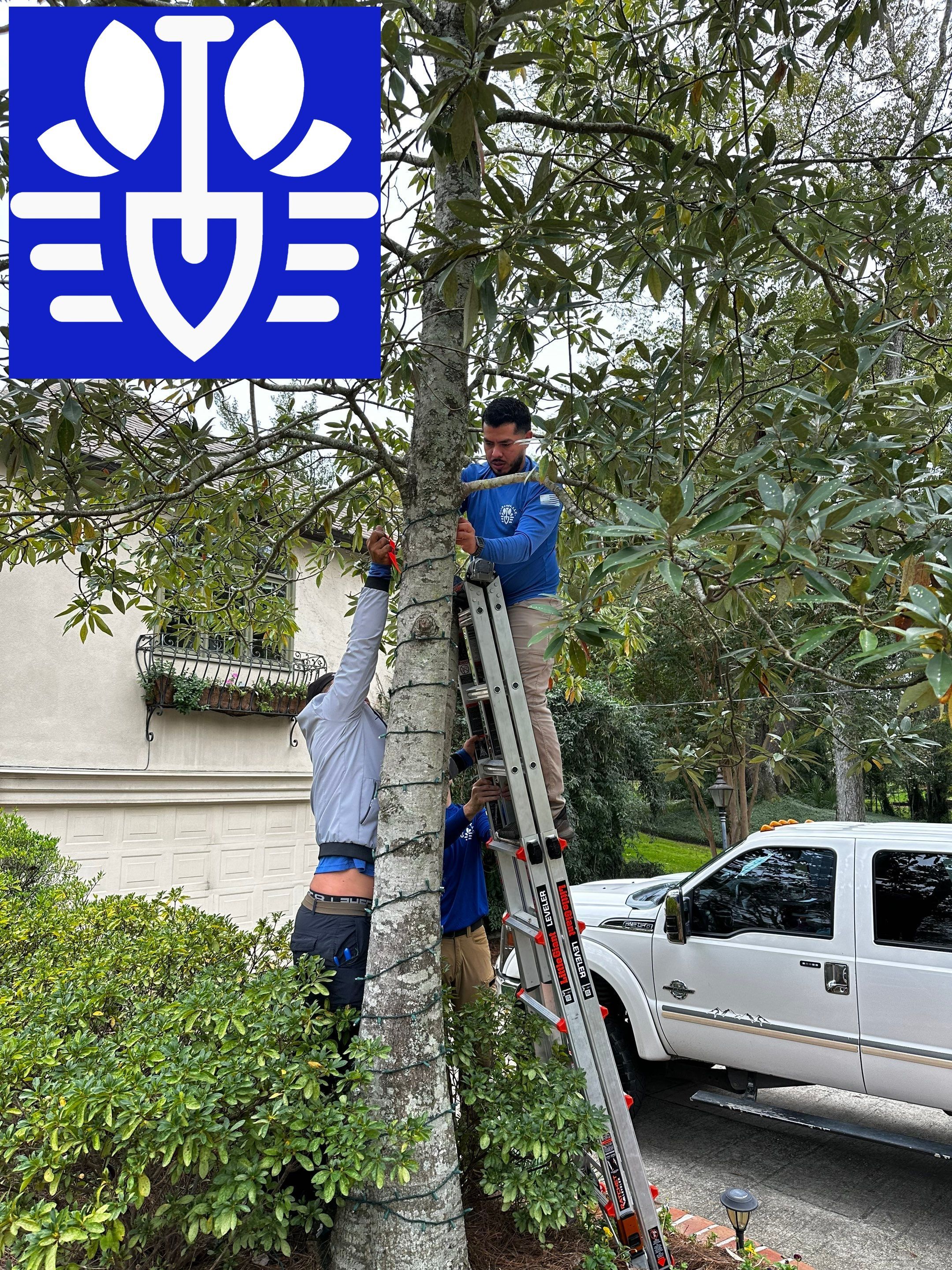 HOLIDAY LIGHTING using PRE LIT GARLAND & 5MM TREE WRAP STRANDS by CutScape, LLC.