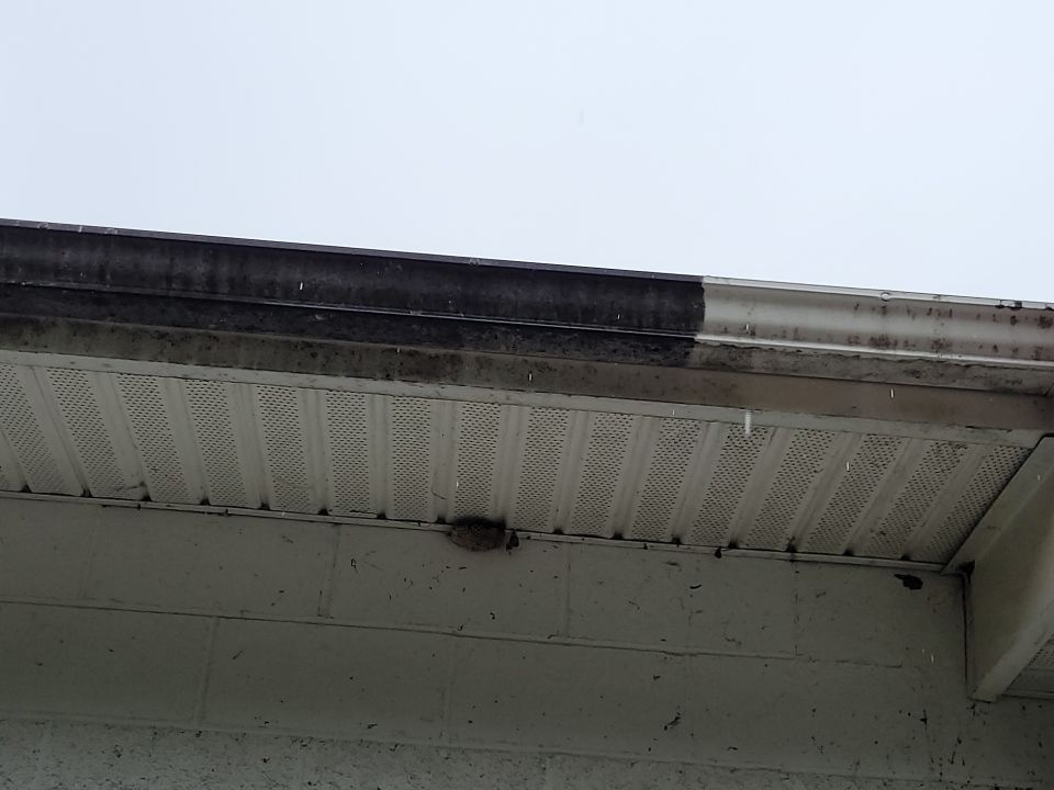 Franklin Eagles by Constructive Project Management