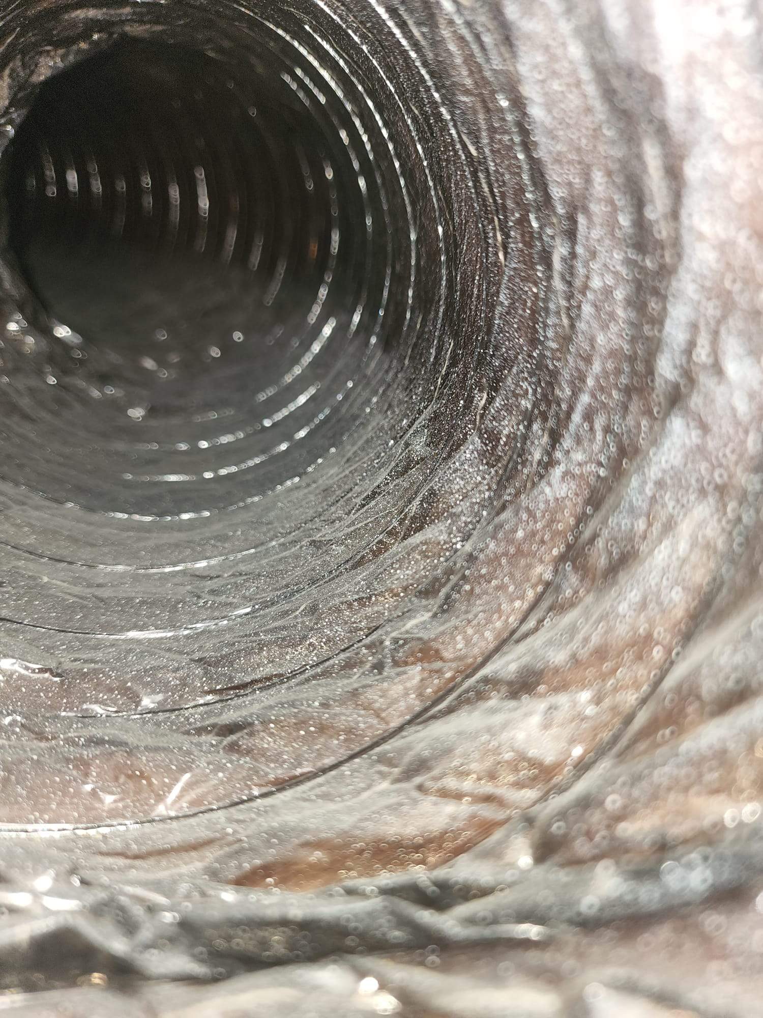 Holmes Beach AC Mold Deep Cleaning by Ampm Restoration Services