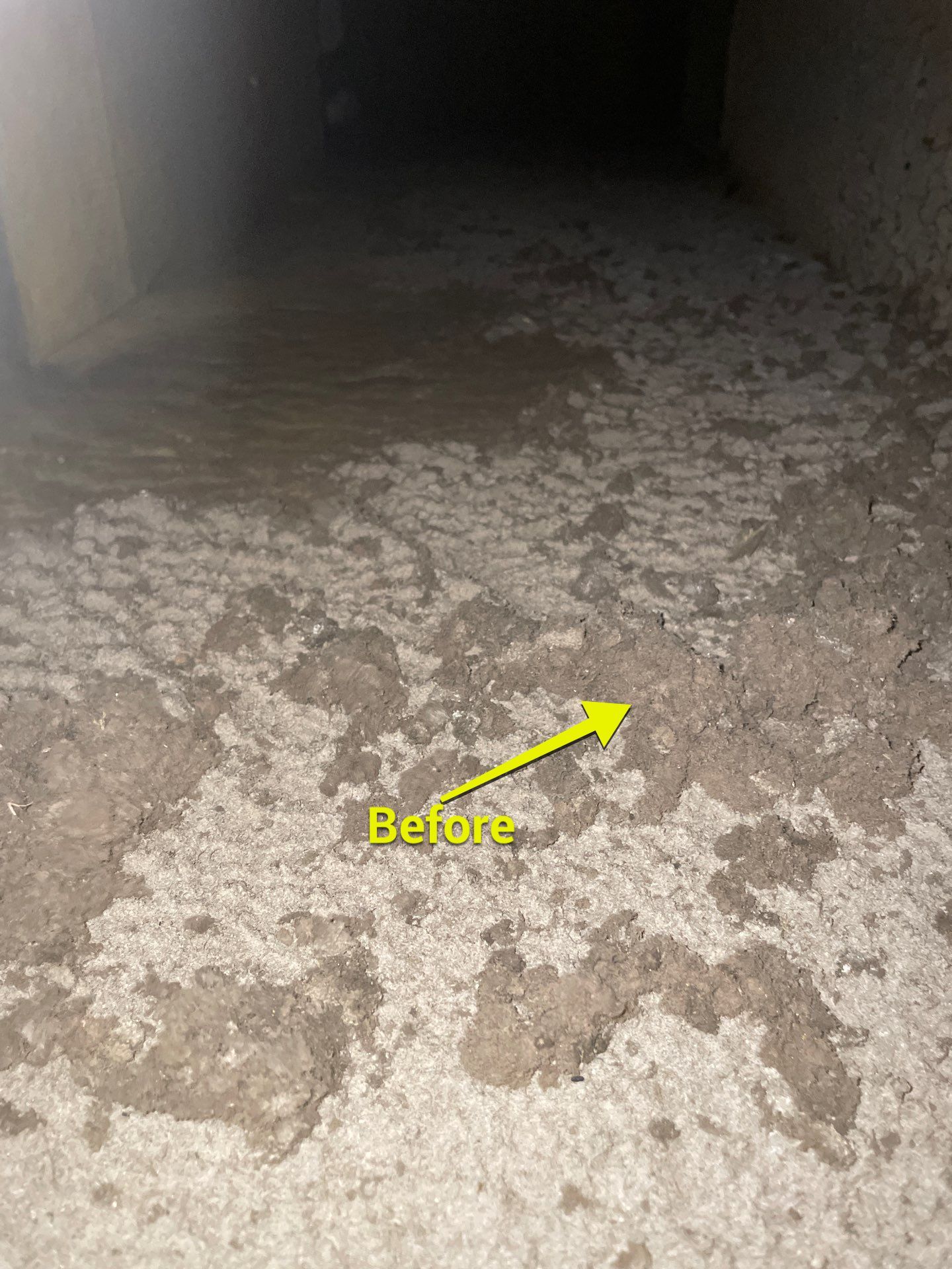 Air Duct Cleaning in Orlando by Hygienic Air, Inc