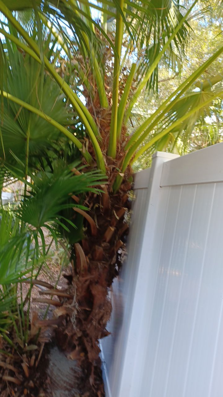 Bradenton, FL 6 ft. White Vinyl Privacy Fence by Asap fence and gates, LLC