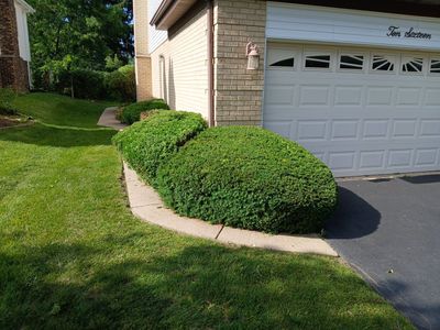 Andrew L. - Arlington Heights, IL