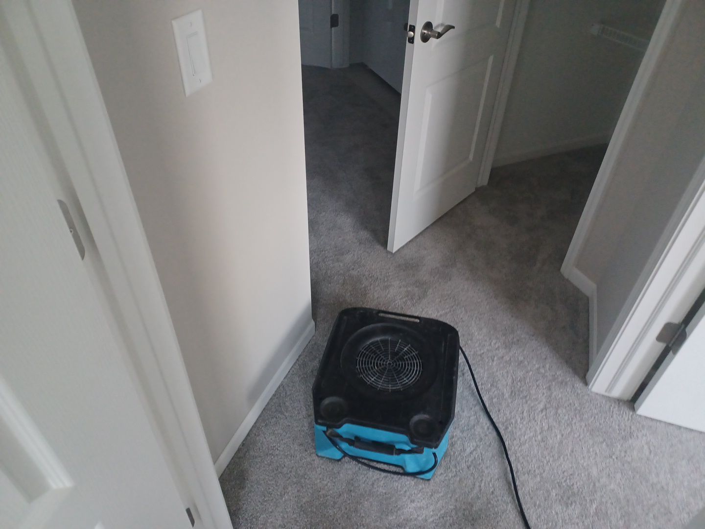 Project in Novi by EzDry Water Mitigation & Property Restoration