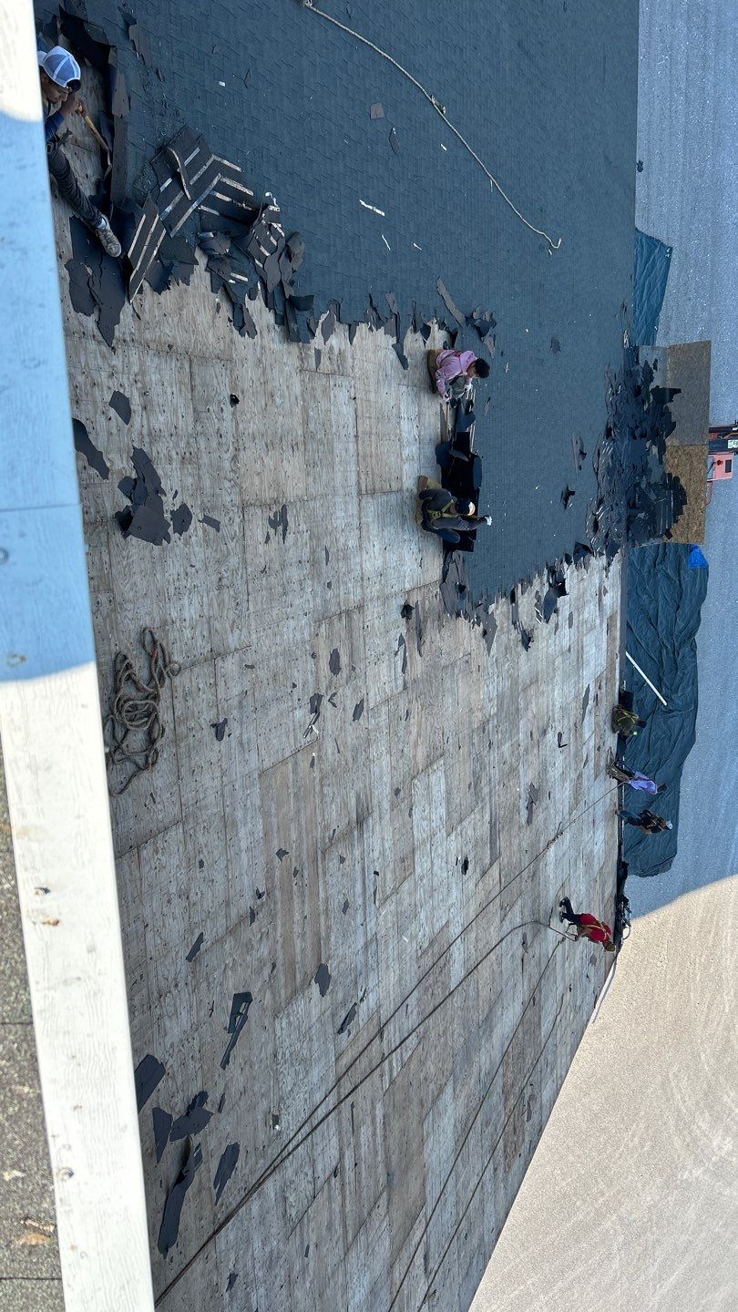 Commercial Roofing Installation using Timberline HDZ Shingles - Hunter Green by RoofX 