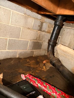 Emergency Water Mitigation & Structural Cavity Drying in Wilmington