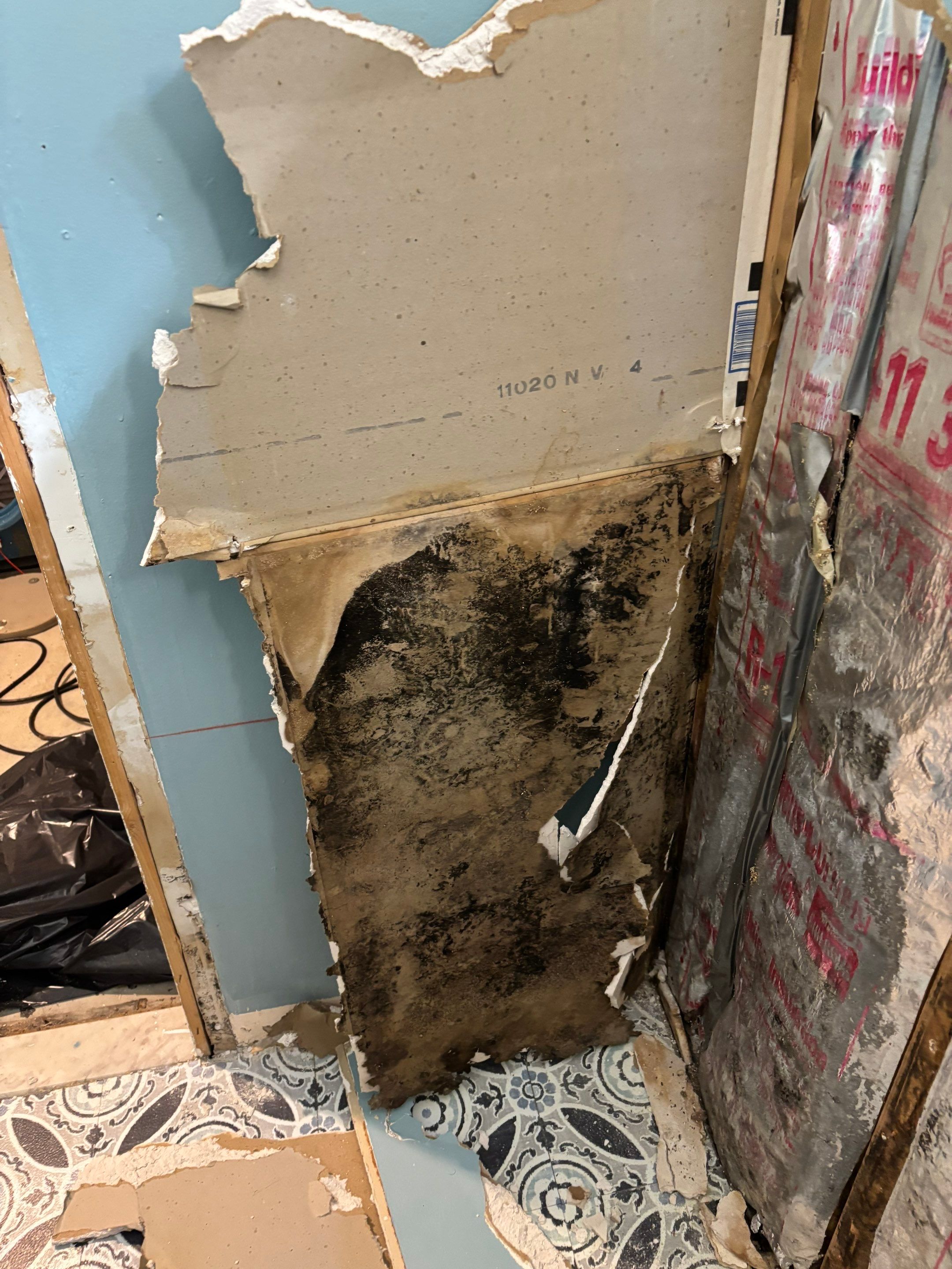 Mold Remediation in Bethpage NY by long island mold guy