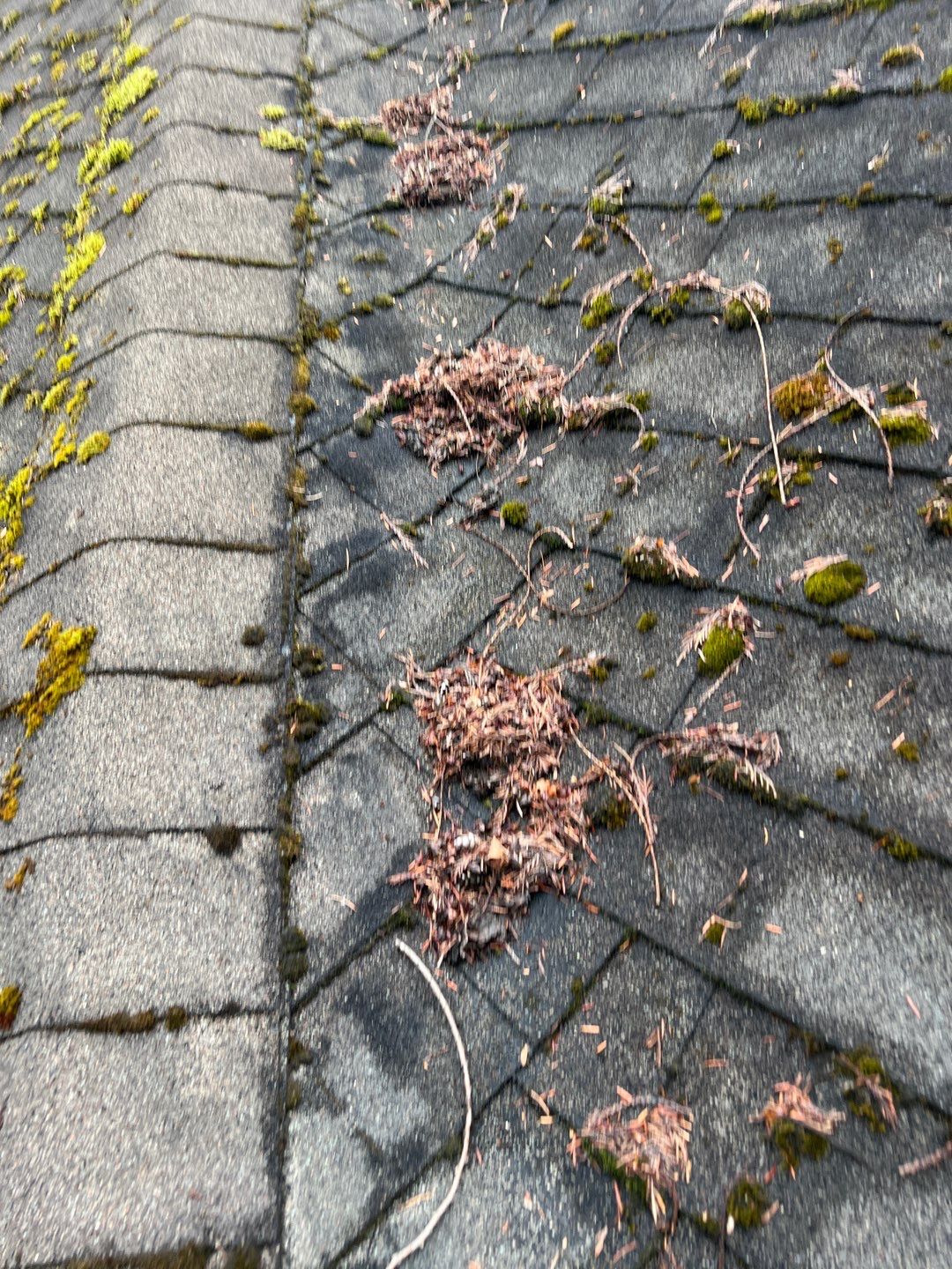 Residential Roofing Installation using OC Oakridge shingles by Top Notch Roofing Inc