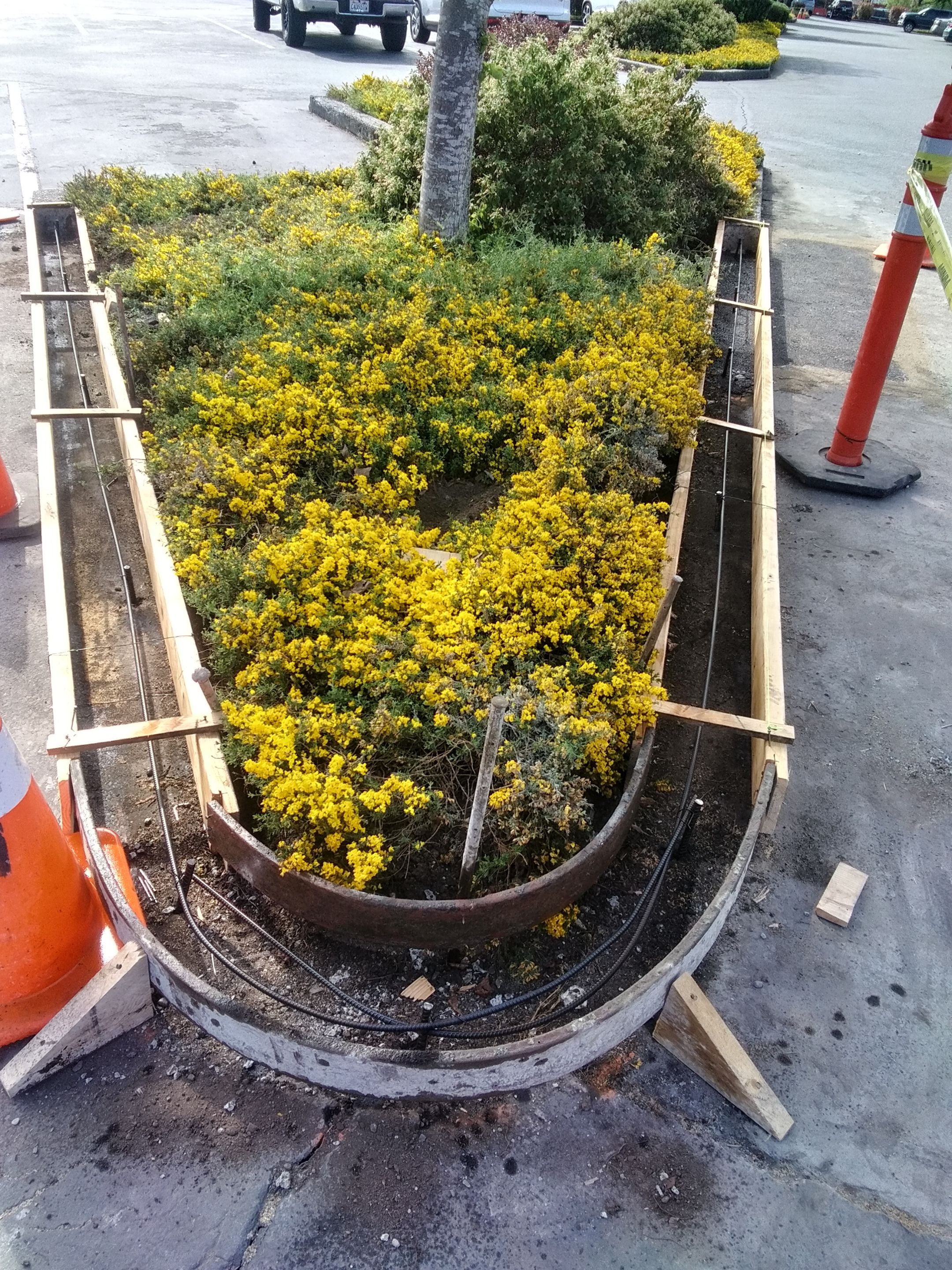 Amanda | Concrete Curb by Jireh Asphalt & Concrete Inc 