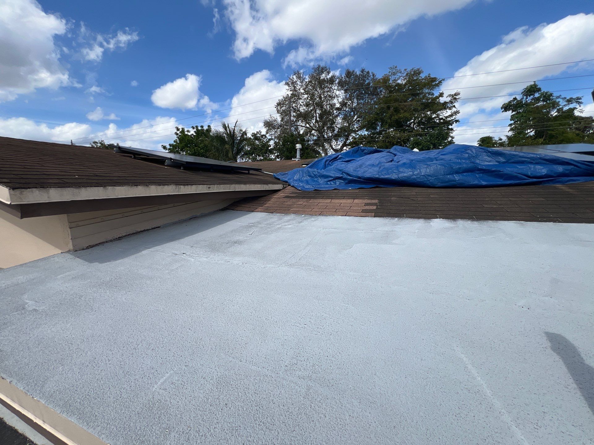 Modified Bitumen Membrane by Reimagine Roofing
