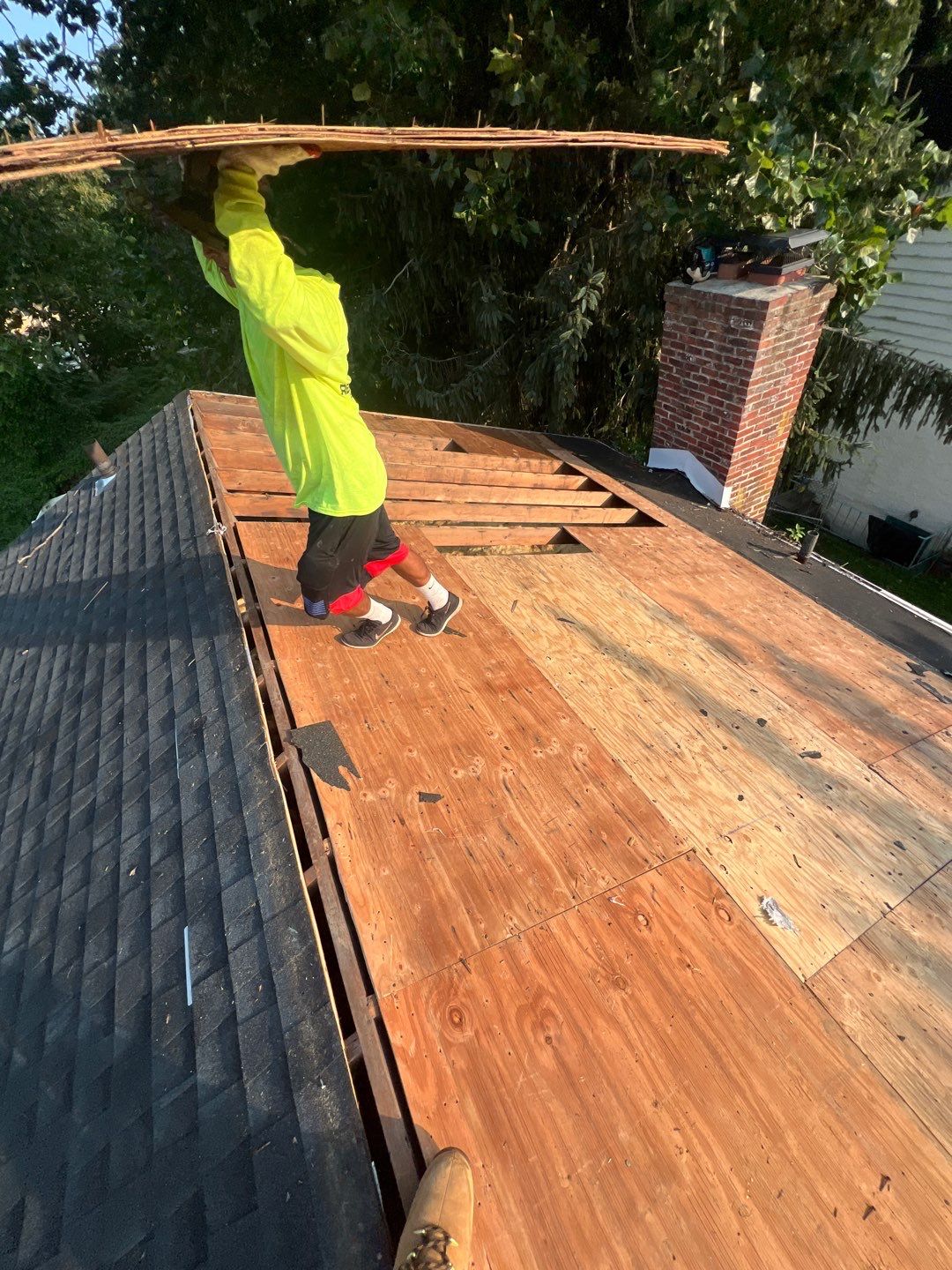 Silver Birch Shingles by Reimagine Roofing