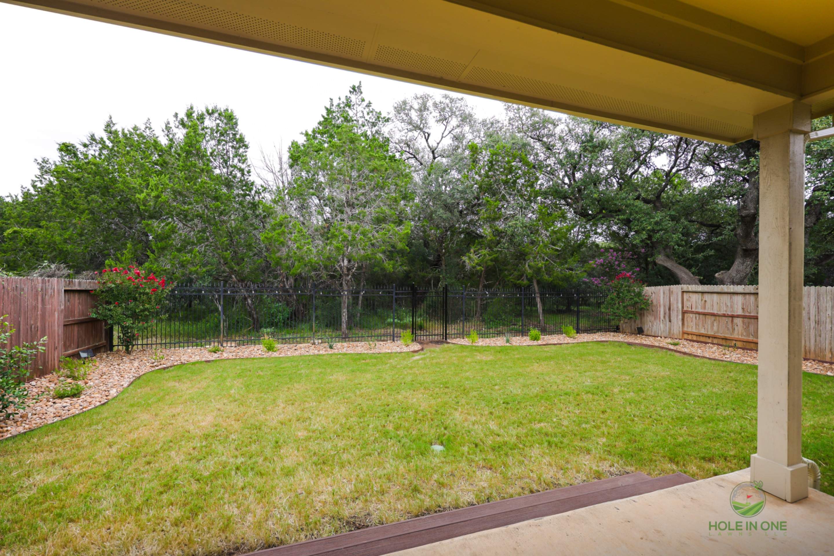 Wortham Oak, San Antonio Tx. by Hole In One Lawns, LLC