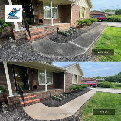 Steve's House