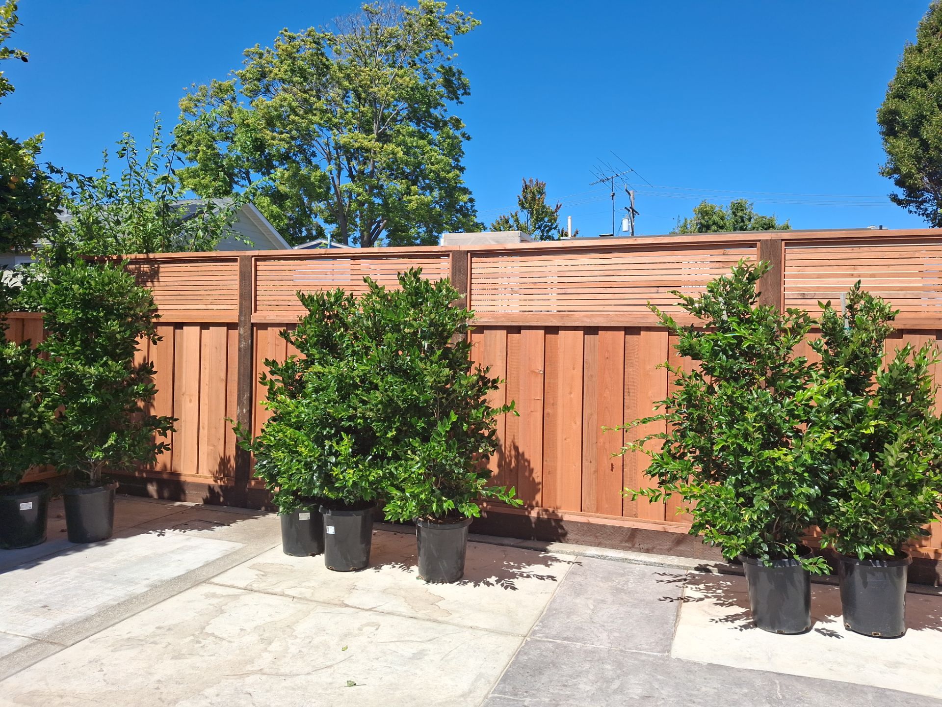 Board on Board With Horizontal Lattice by Fremont Fence Inc