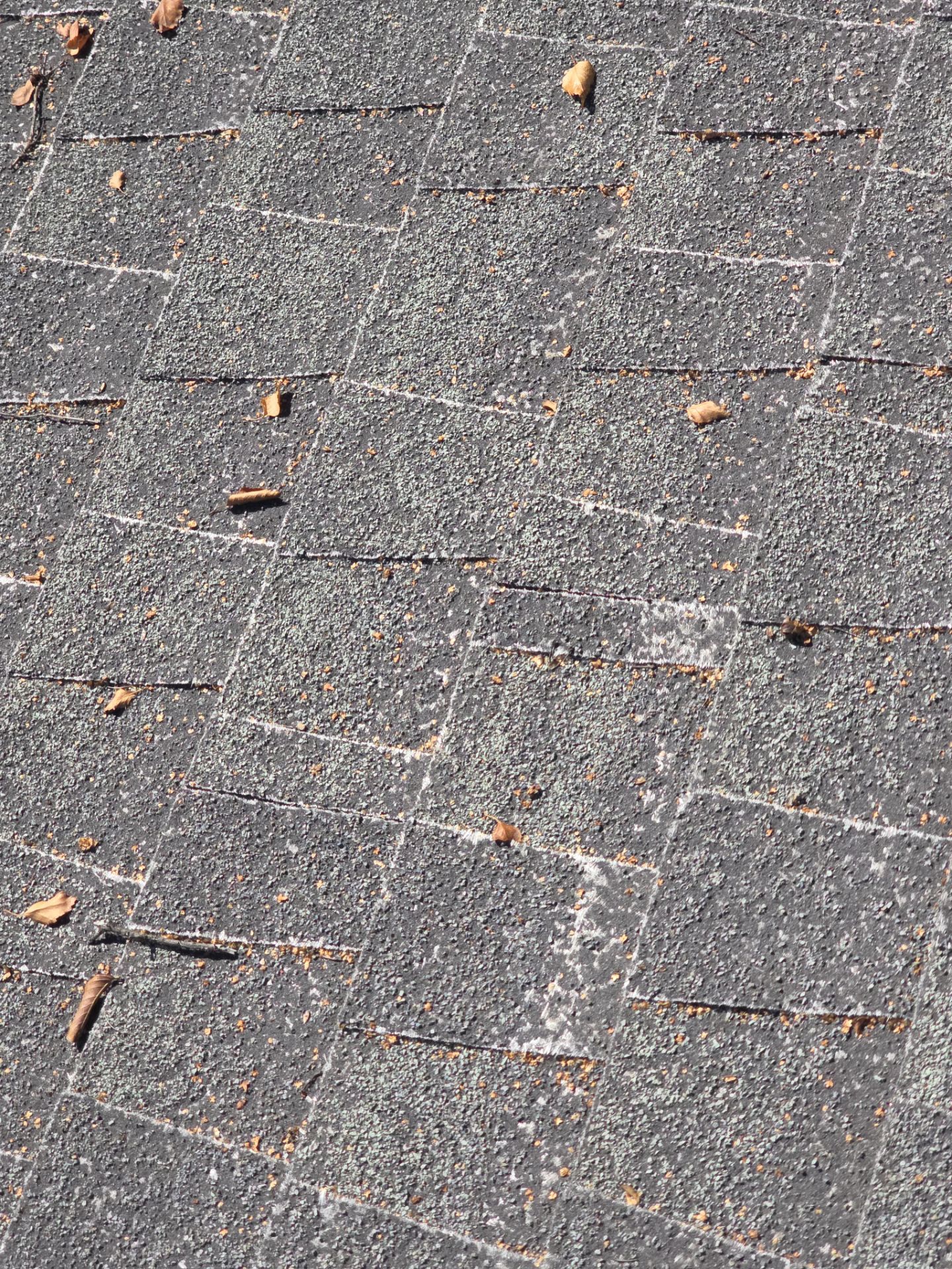 Roof Rejuvenation using Roof Maxx Treatment by Roof Maxx of Folsom