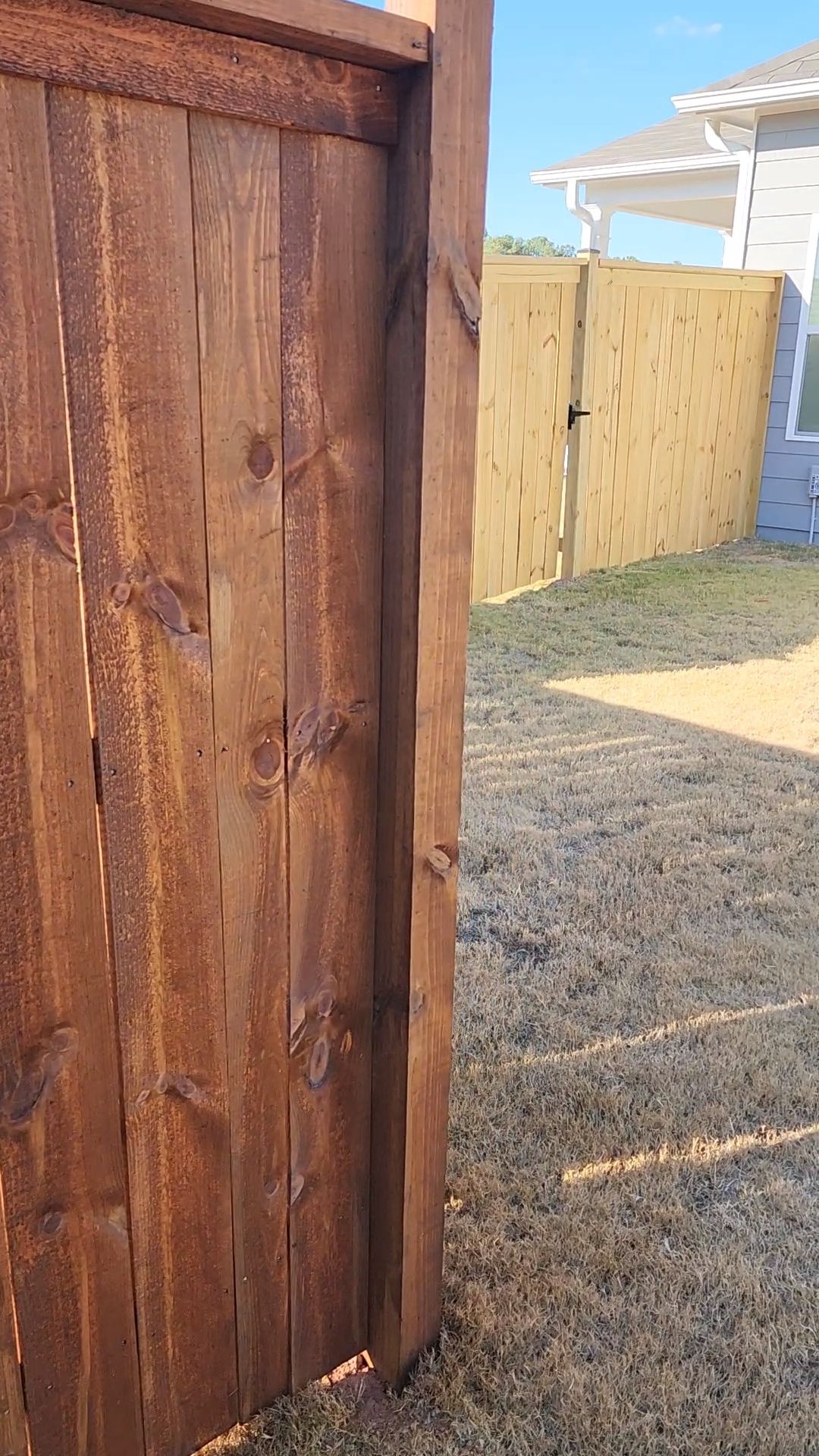 Fence Staining using Chestnut by SSE by Titans of Timber Fence & Stain