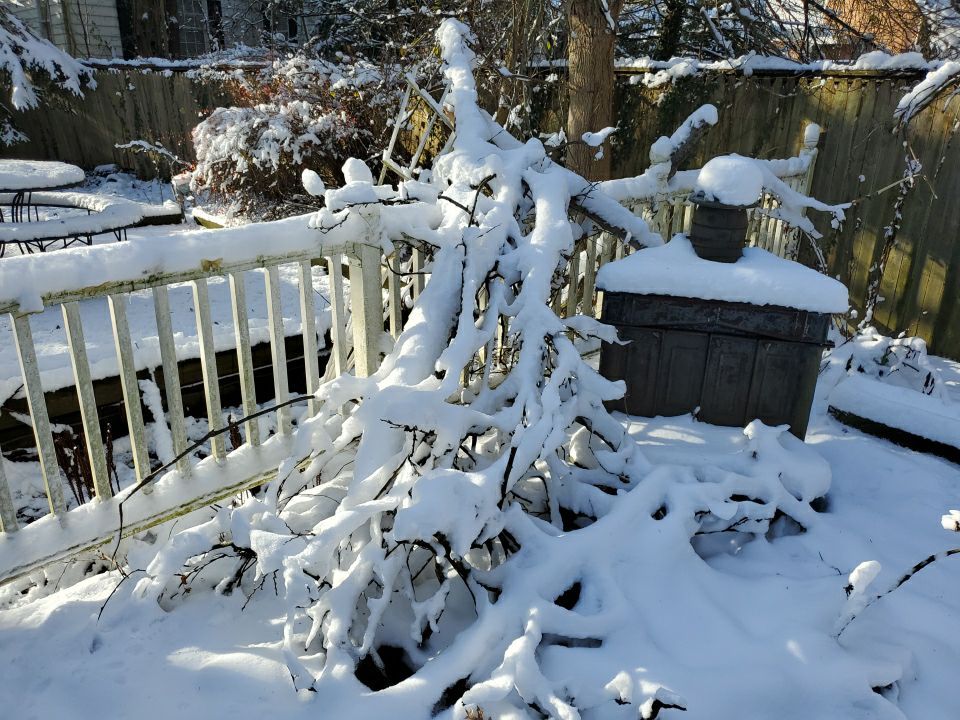 Tree Removal using Tree Removal by Mike Jones & Sons Tree Service LLC 