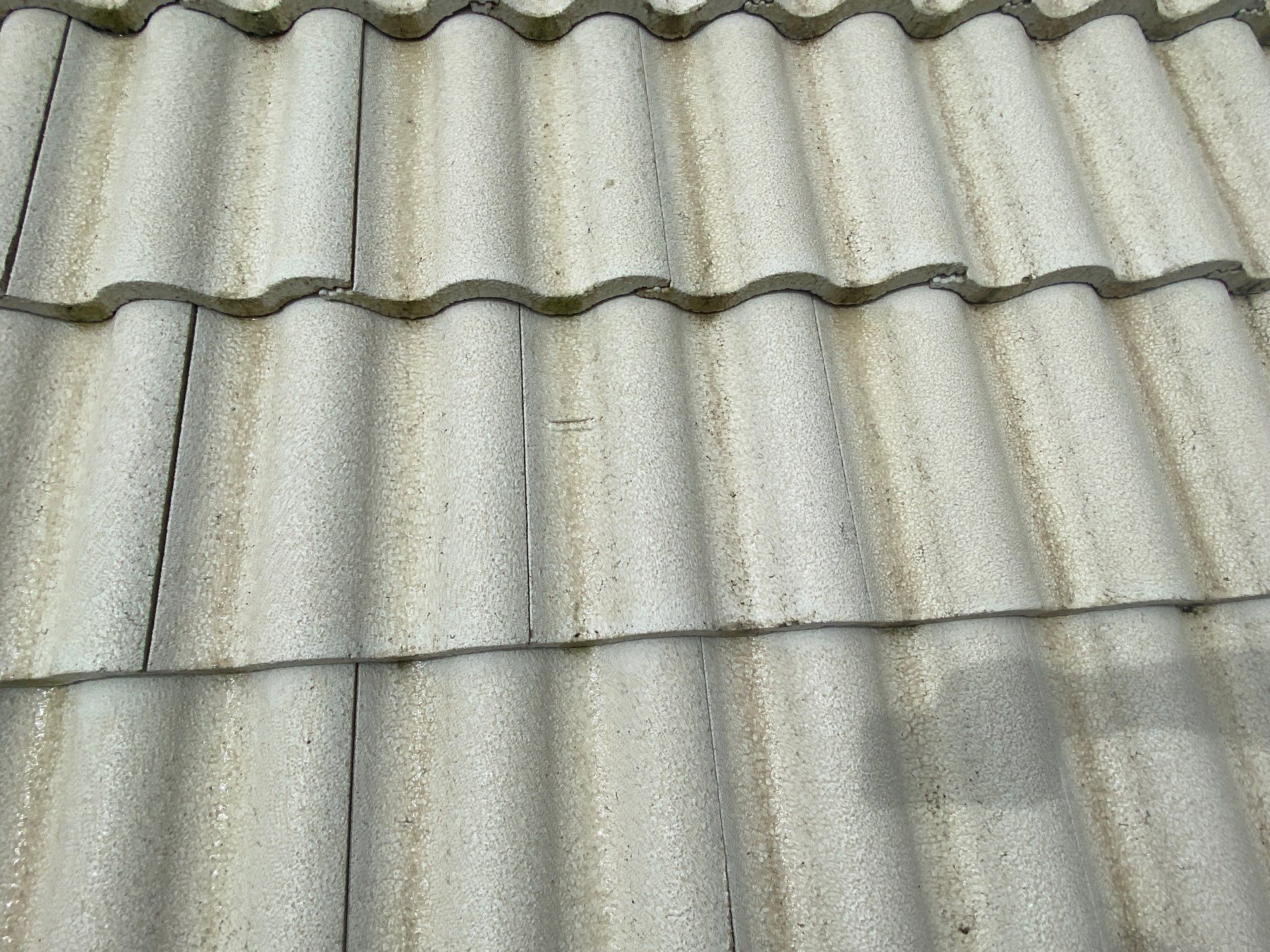 Leaf Guard using Gutter Guards for Florida Home by Gutter Professors