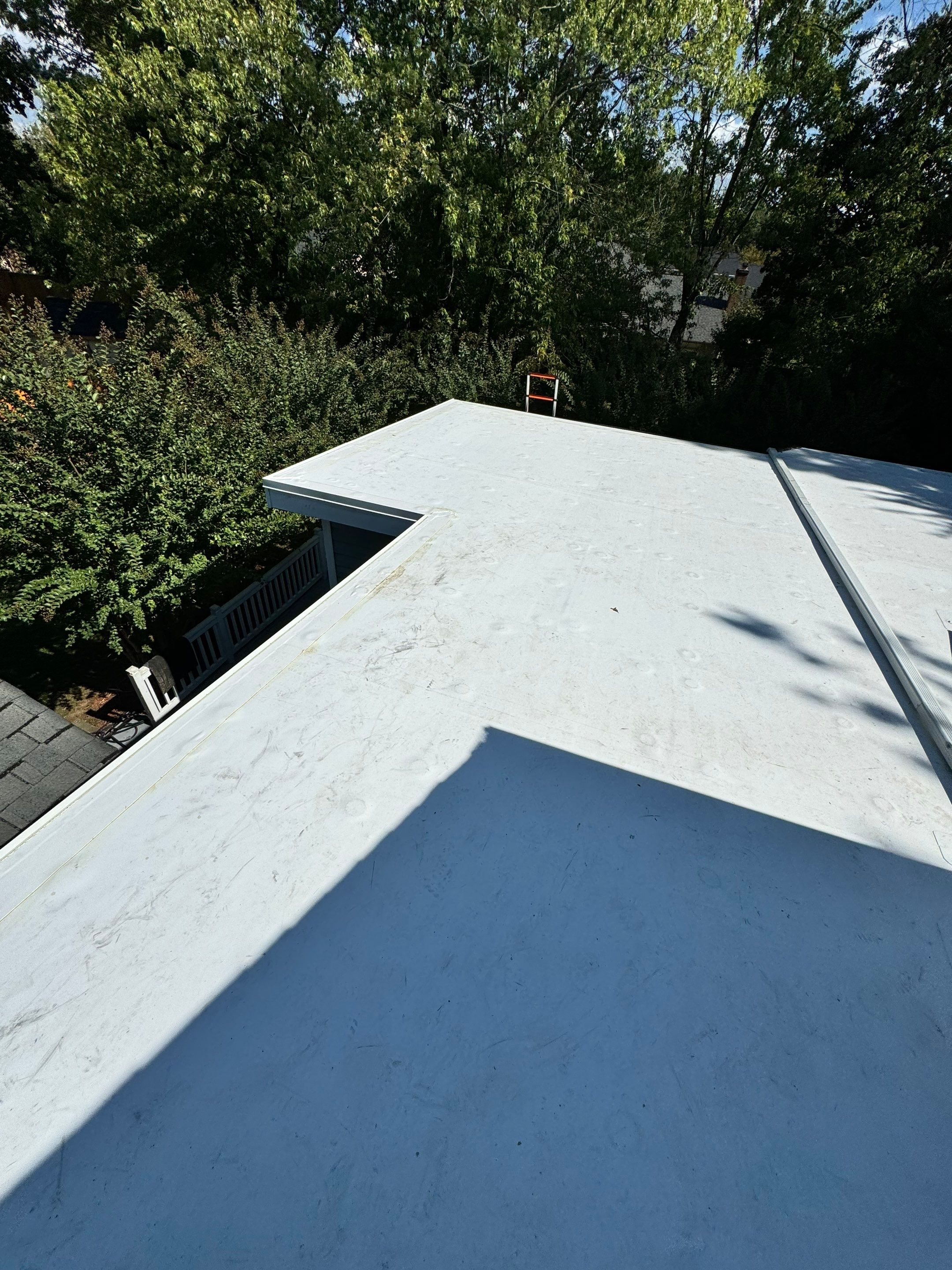 Alexandria: Residential Flat Roof Replacement with MuleHide TPO by RM Banning, Inc.