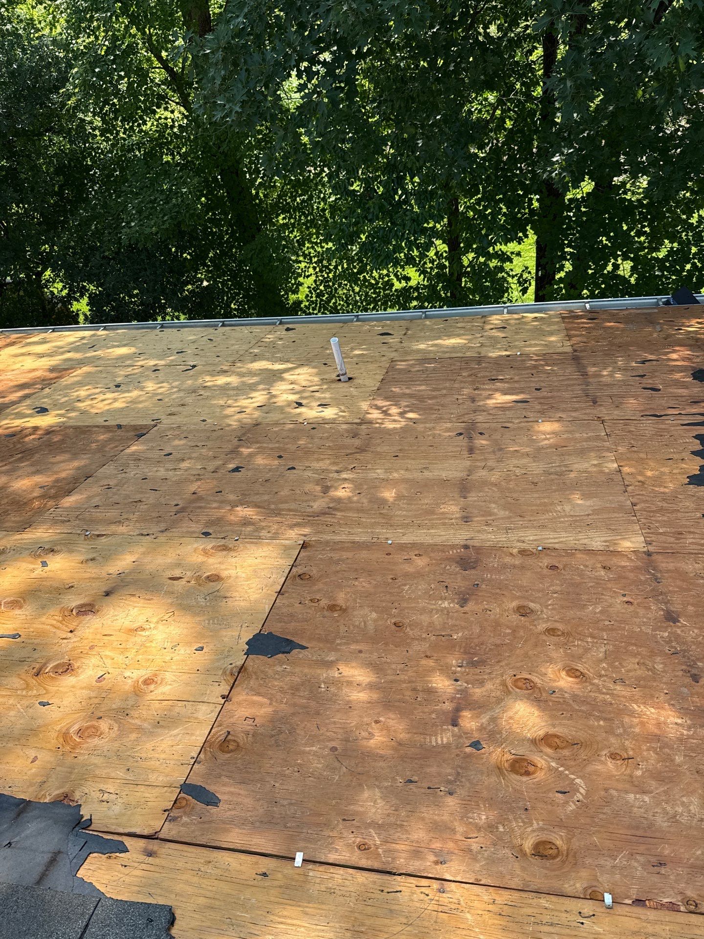 Burke: Residential Roof Replacement with CertainTeed Landmark PRO in Max Def Cobblestone Gray by RM Banning, Inc.