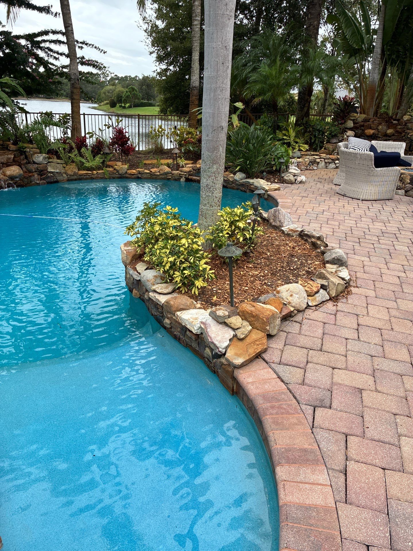 Palm Perfection & Poolside Restoration in Lighthouse Point by Alpha Zeta Enterprises Inc