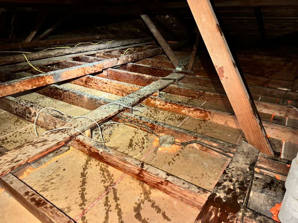 Project in Lakewood by Insulation Labs