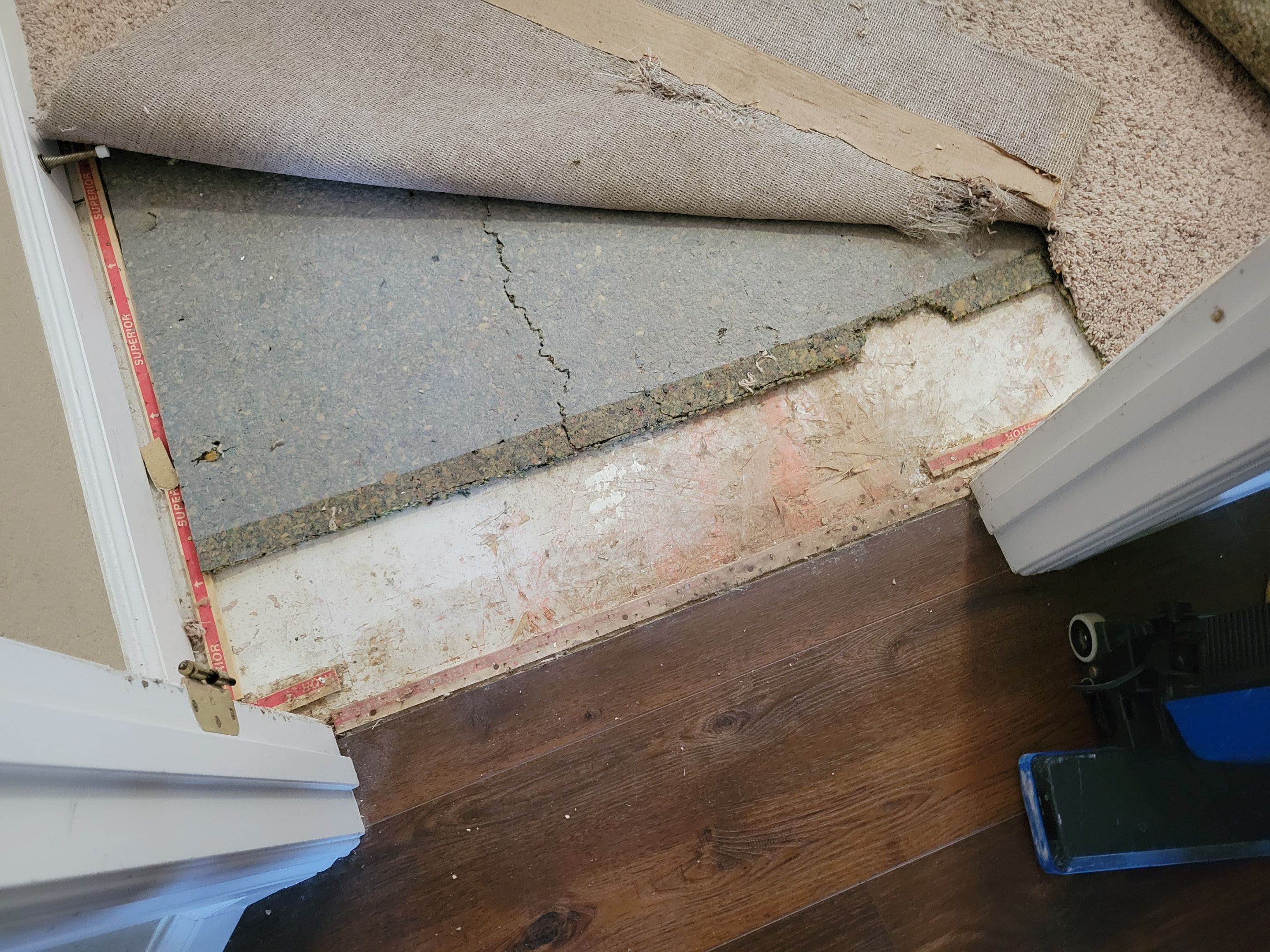 Bonded Inserts for Dog Damage by Ardent Carpet Restore LLC