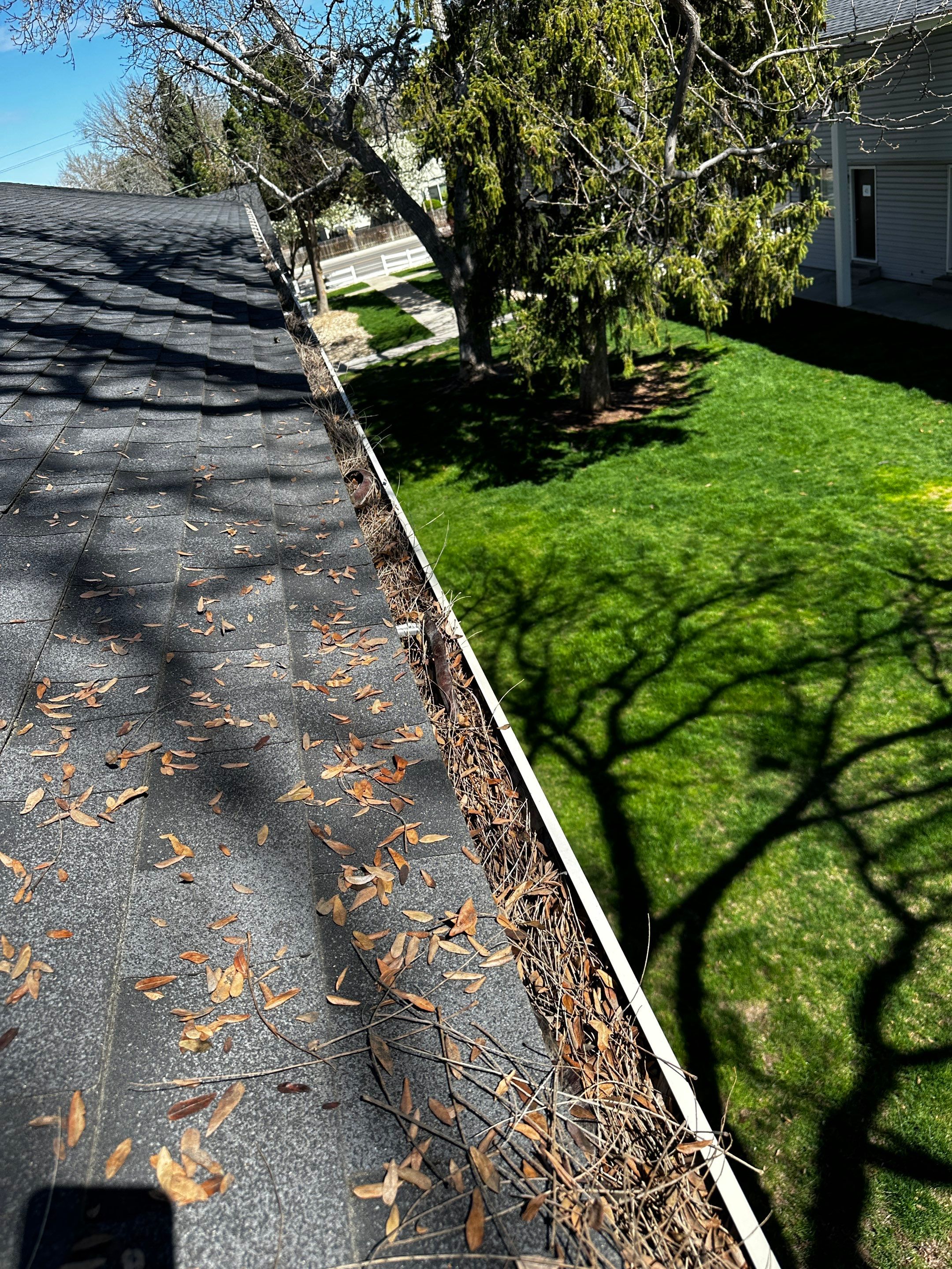 Commercial gutter cleaning Boise before photo with filled gutters