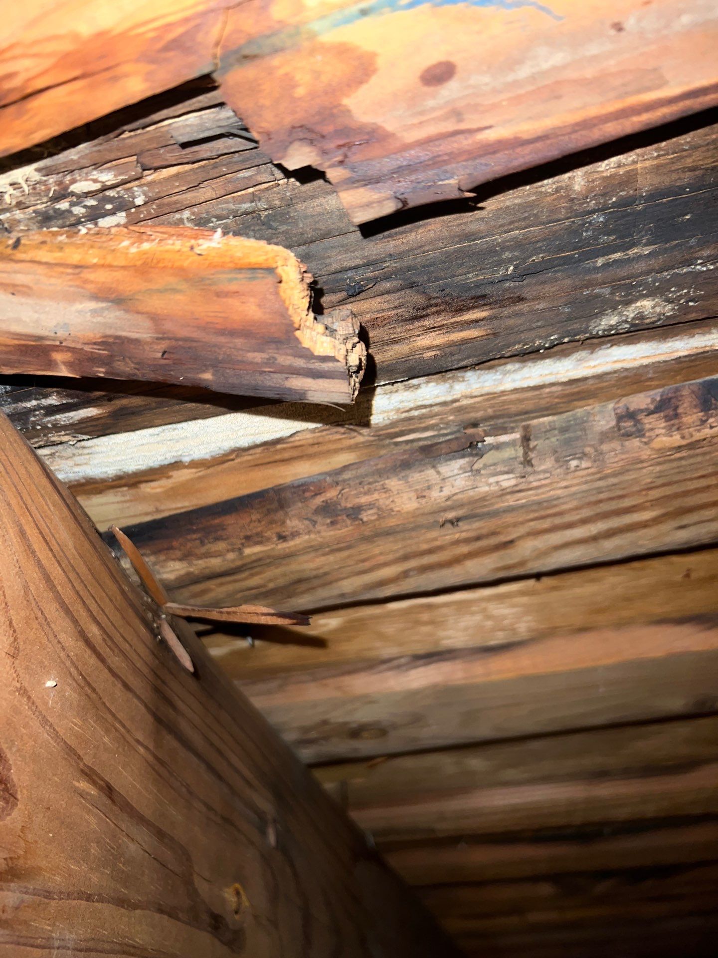 Residential Roofing Repair using Owen's Corning Duration (Lifetime) Shingles by Roof Repair Services LLC
