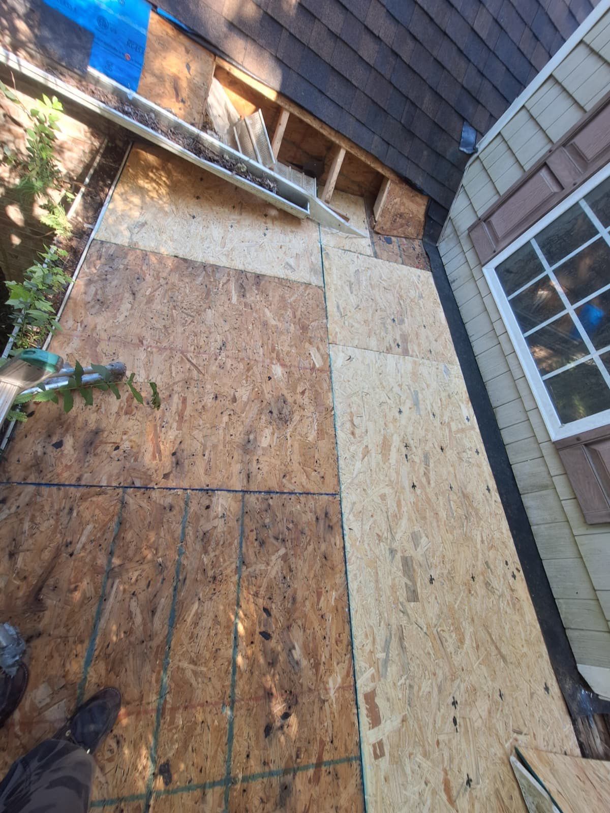 Clayton Roof Replacement and Structural Wood Rot Repair Project by Cadmus Construction