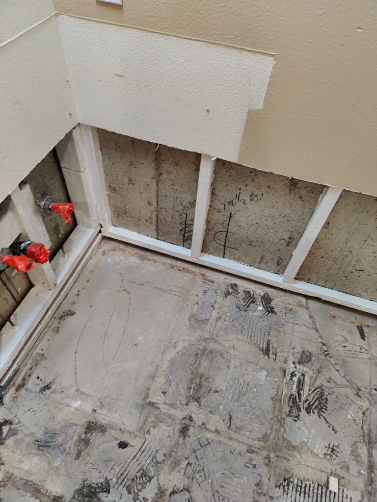 Mold Remediation by Accountable Home Services