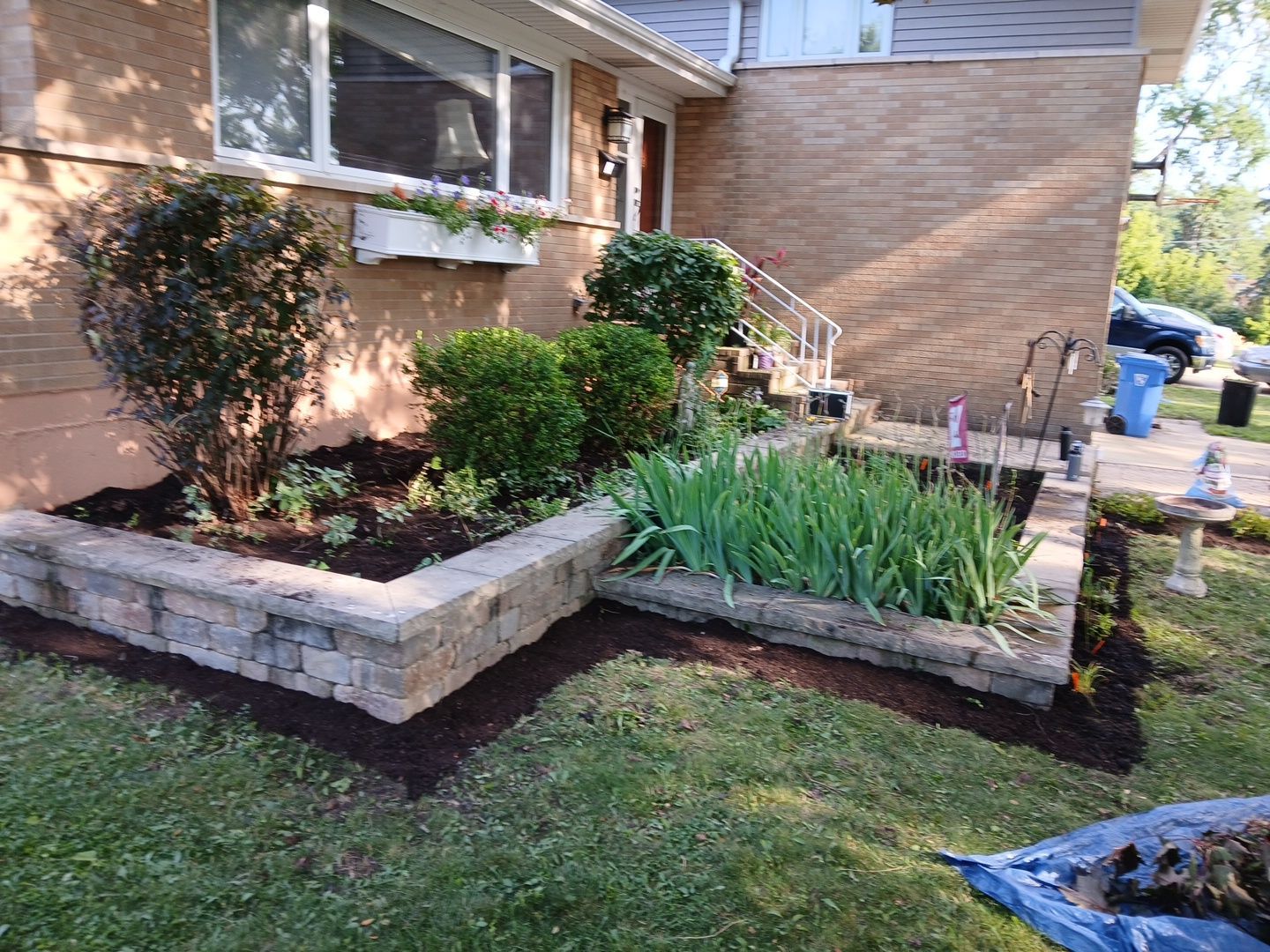 Liz L. - Mount Prospect, IL by A&N 