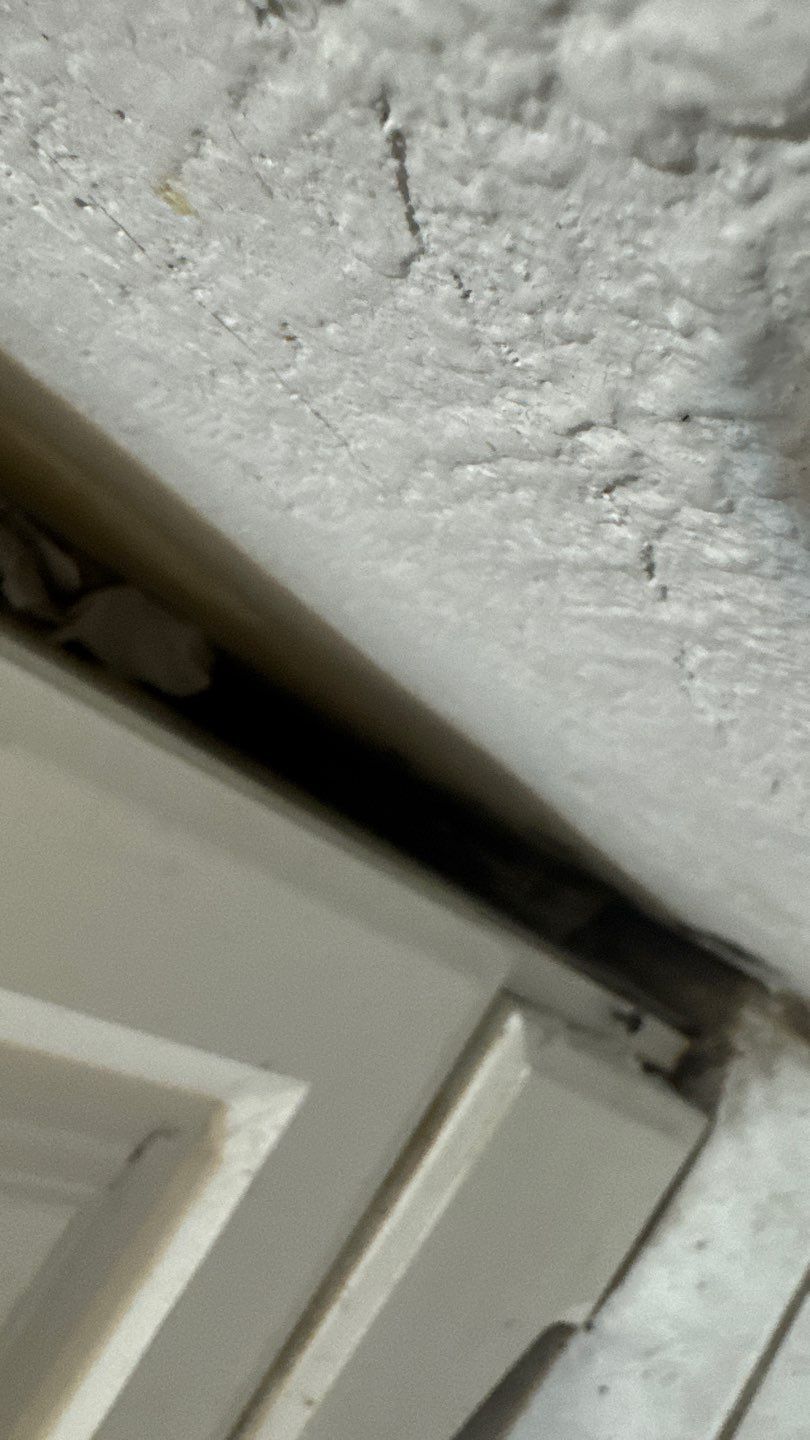 Mold Damage Project in Denver by Accountable Home Services